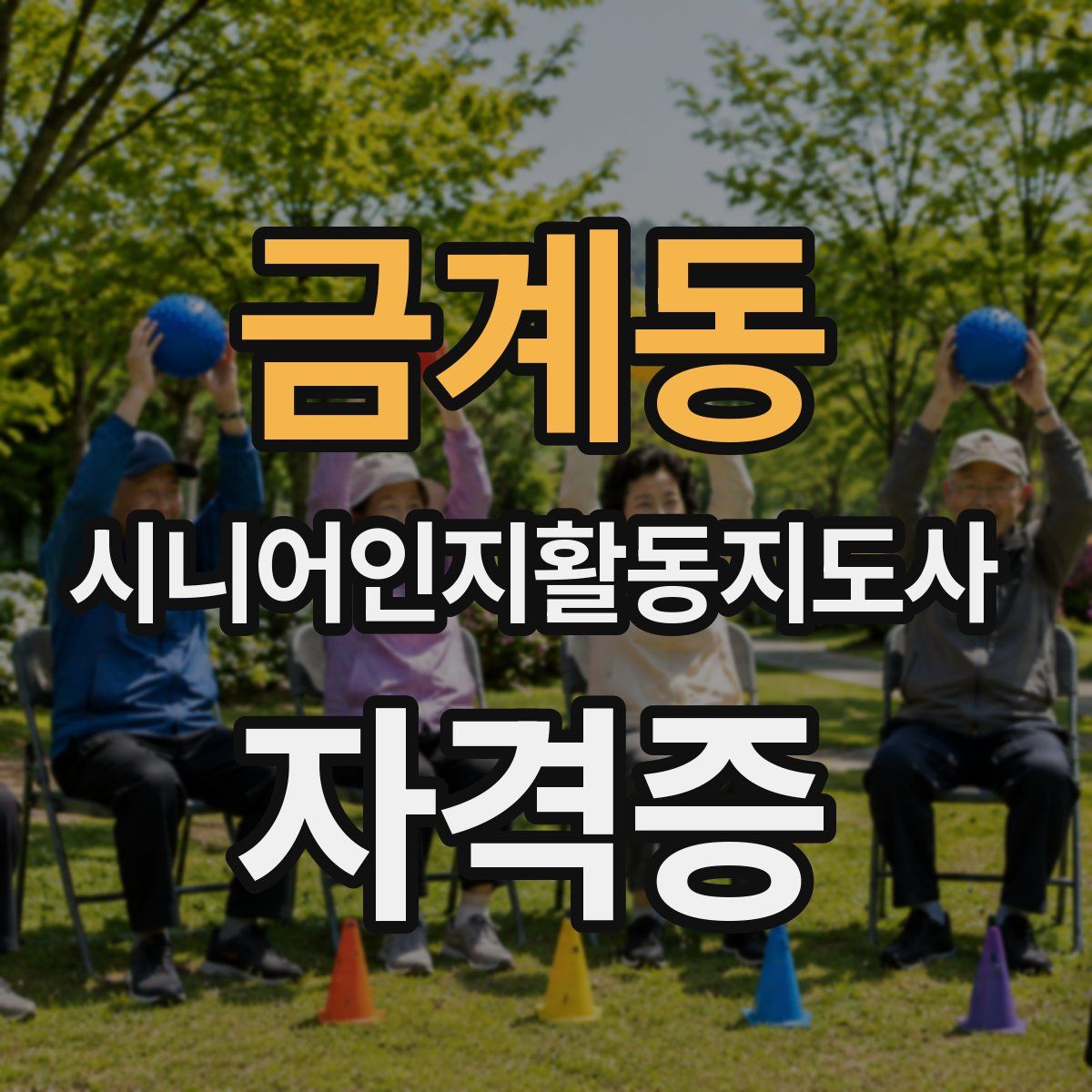 금계동 시니어인지활동지도사 자격증