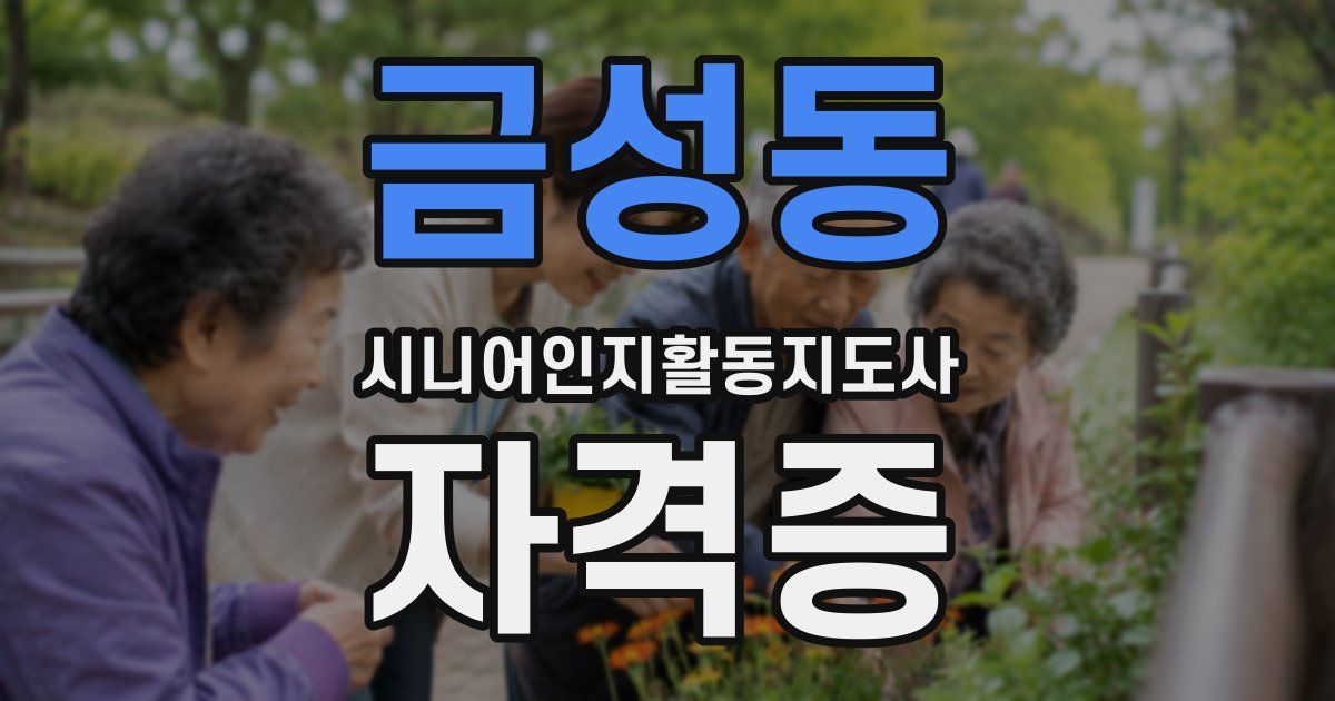 금성동 시니어인지활동지도사 자격증