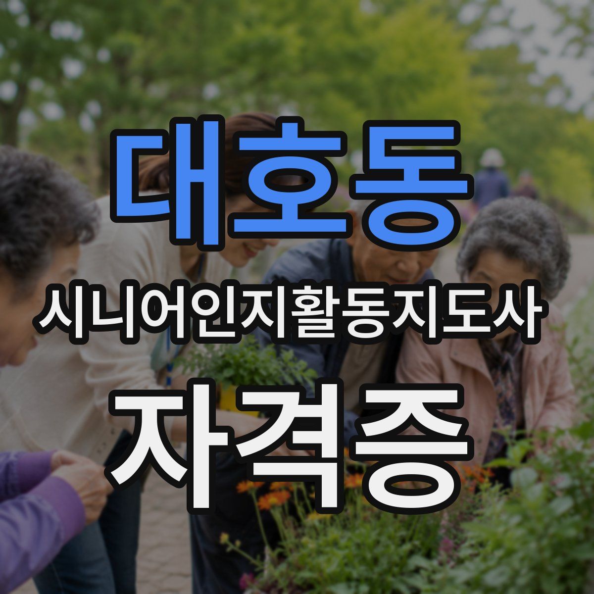 대호동 시니어인지활동지도사 자격증