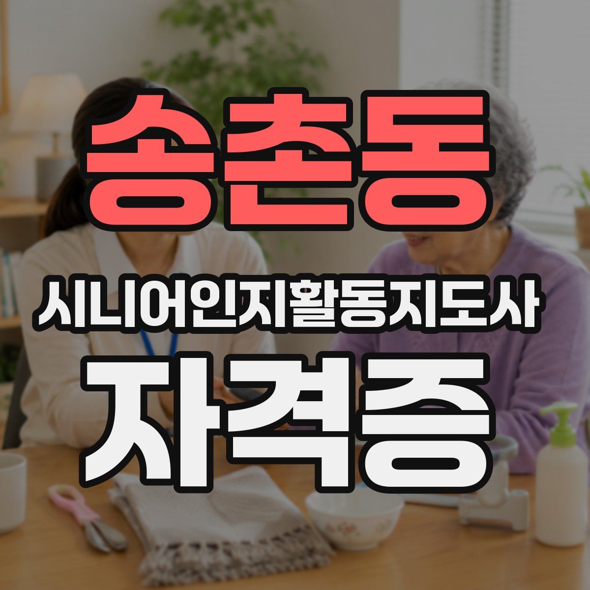 송촌동 시니어인지활동지도사 자격증