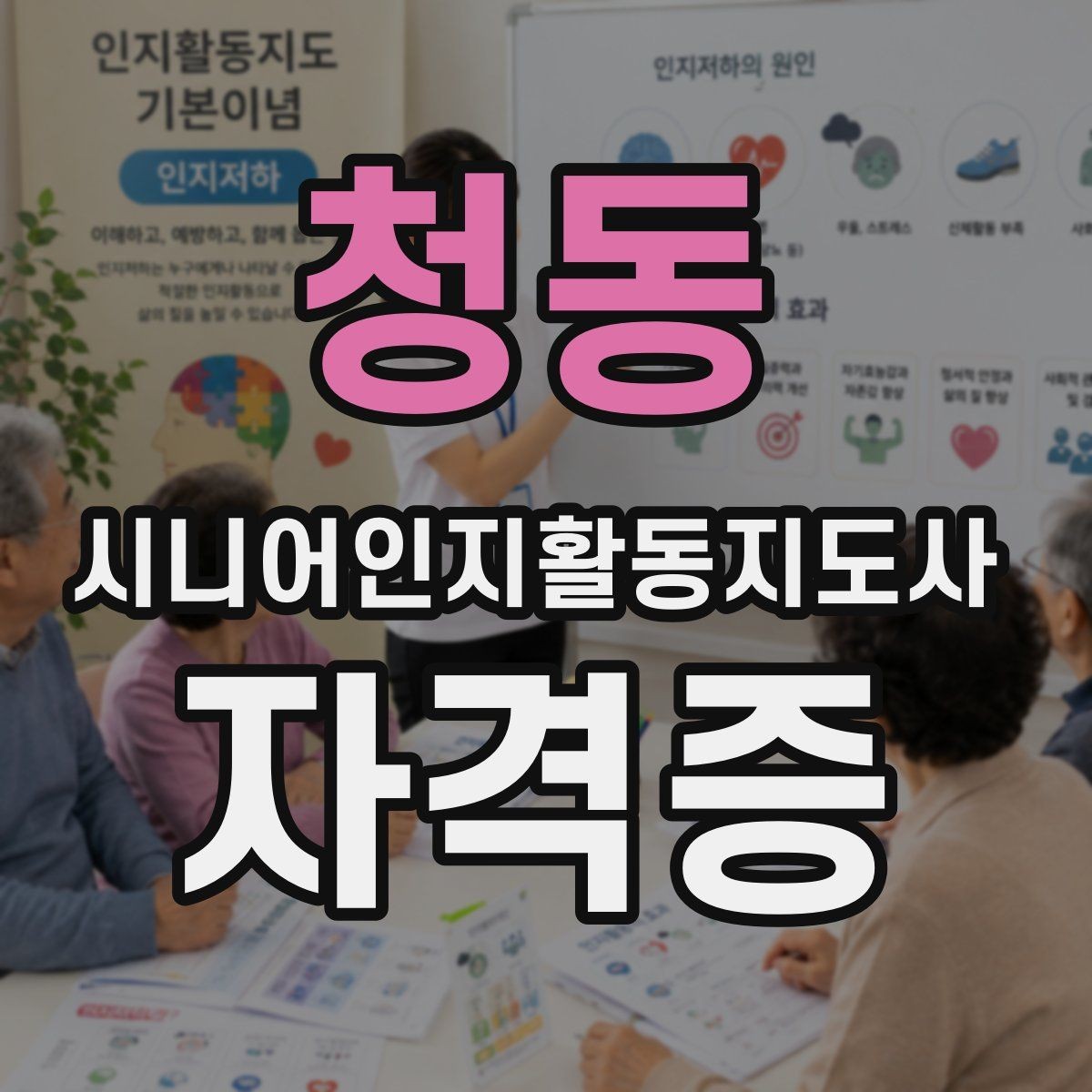 청동 시니어인지활동지도사 자격증 과정의 장점과 한계