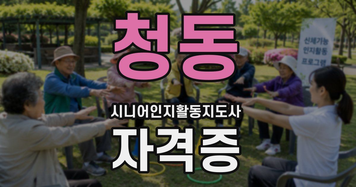 청동 시니어인지활동지도사 자격증