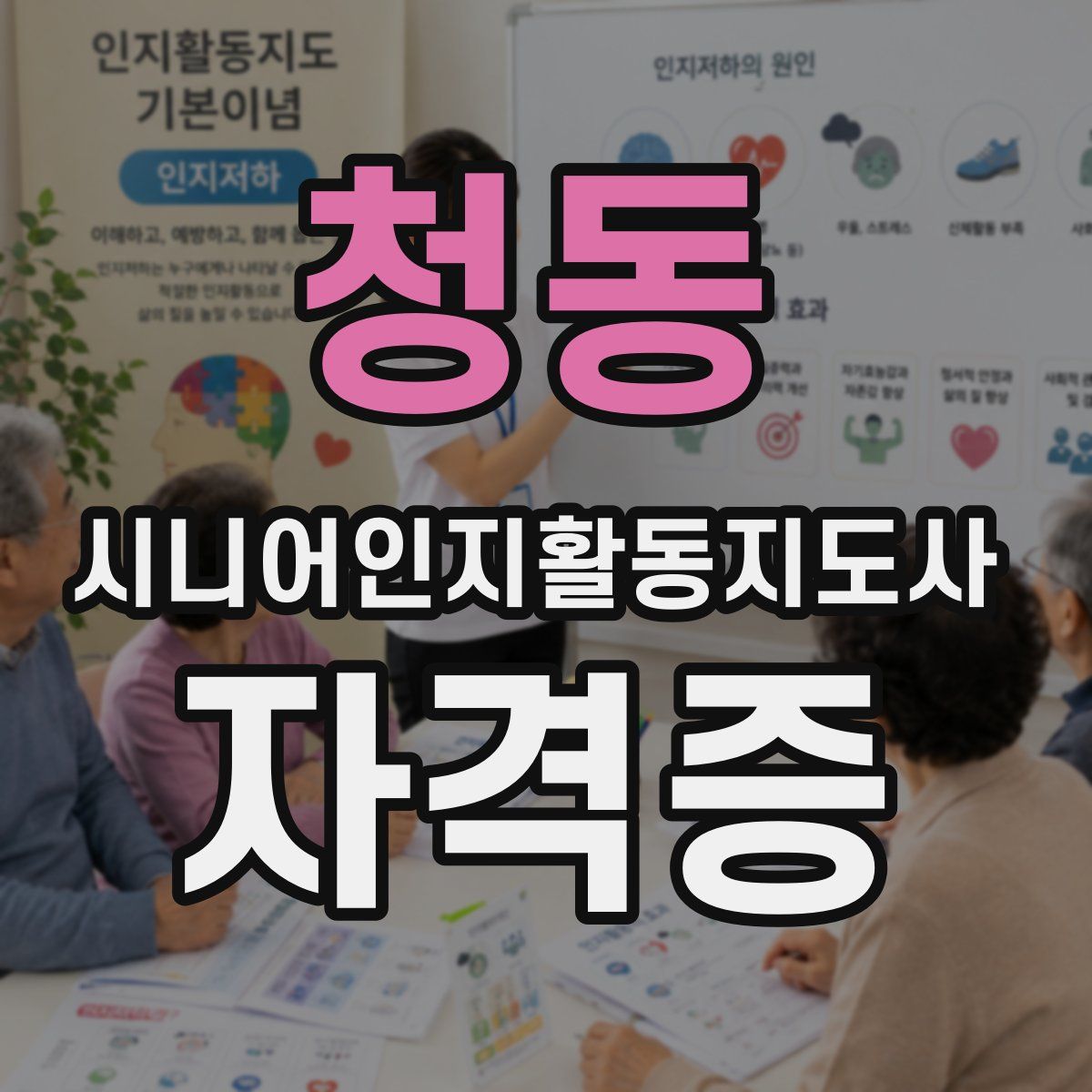 청동 시니어인지활동지도사 자격증