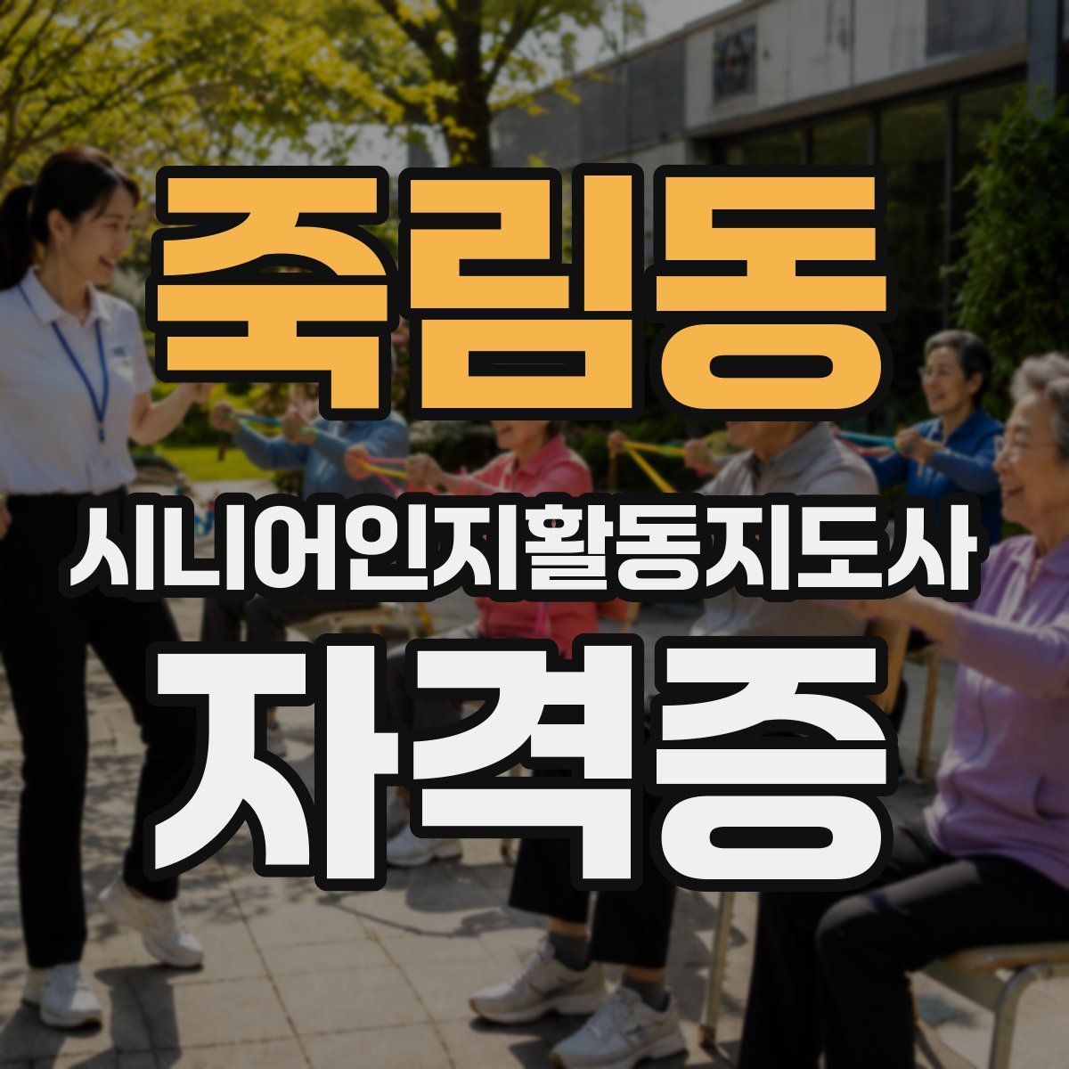 죽림동 시니어인지활동지도사 자격증