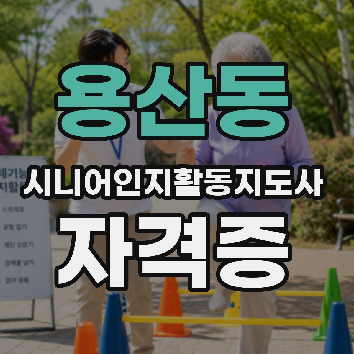 용산동 시니어인지활동지도사 자격증