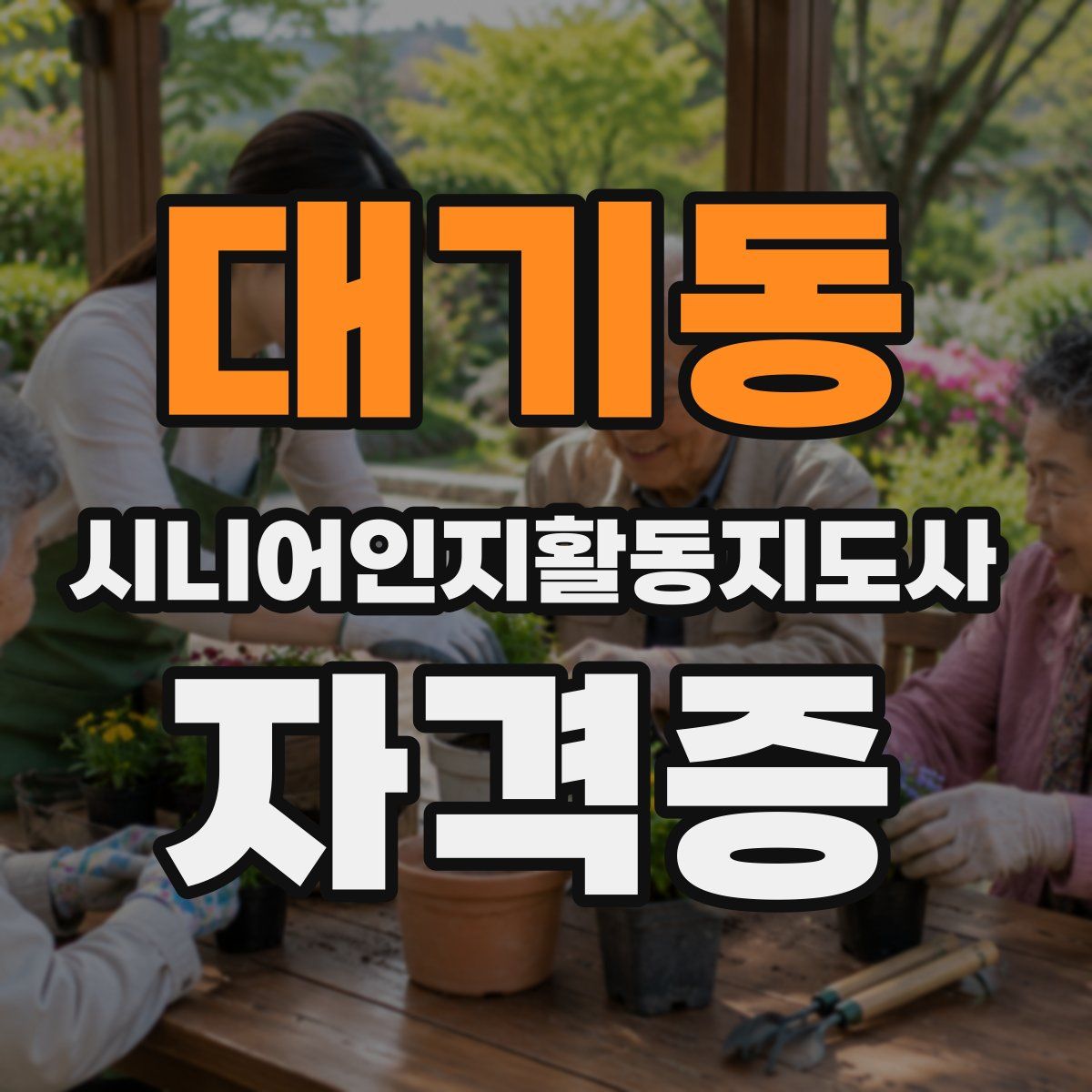대기동 시니어인지활동지도사 자격증