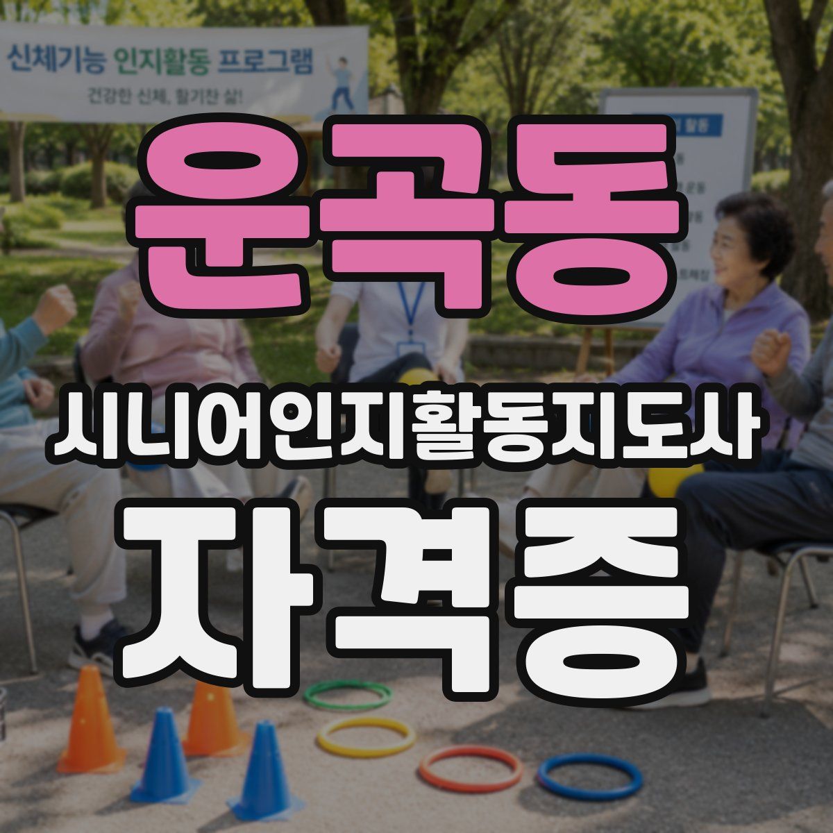 운곡동 시니어인지활동지도사 자격증