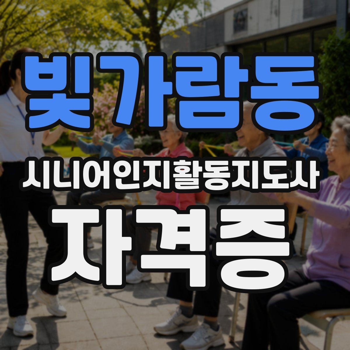 빛가람동 시니어인지활동지도사 자격증 과정의 수업 범위와 학습 목표