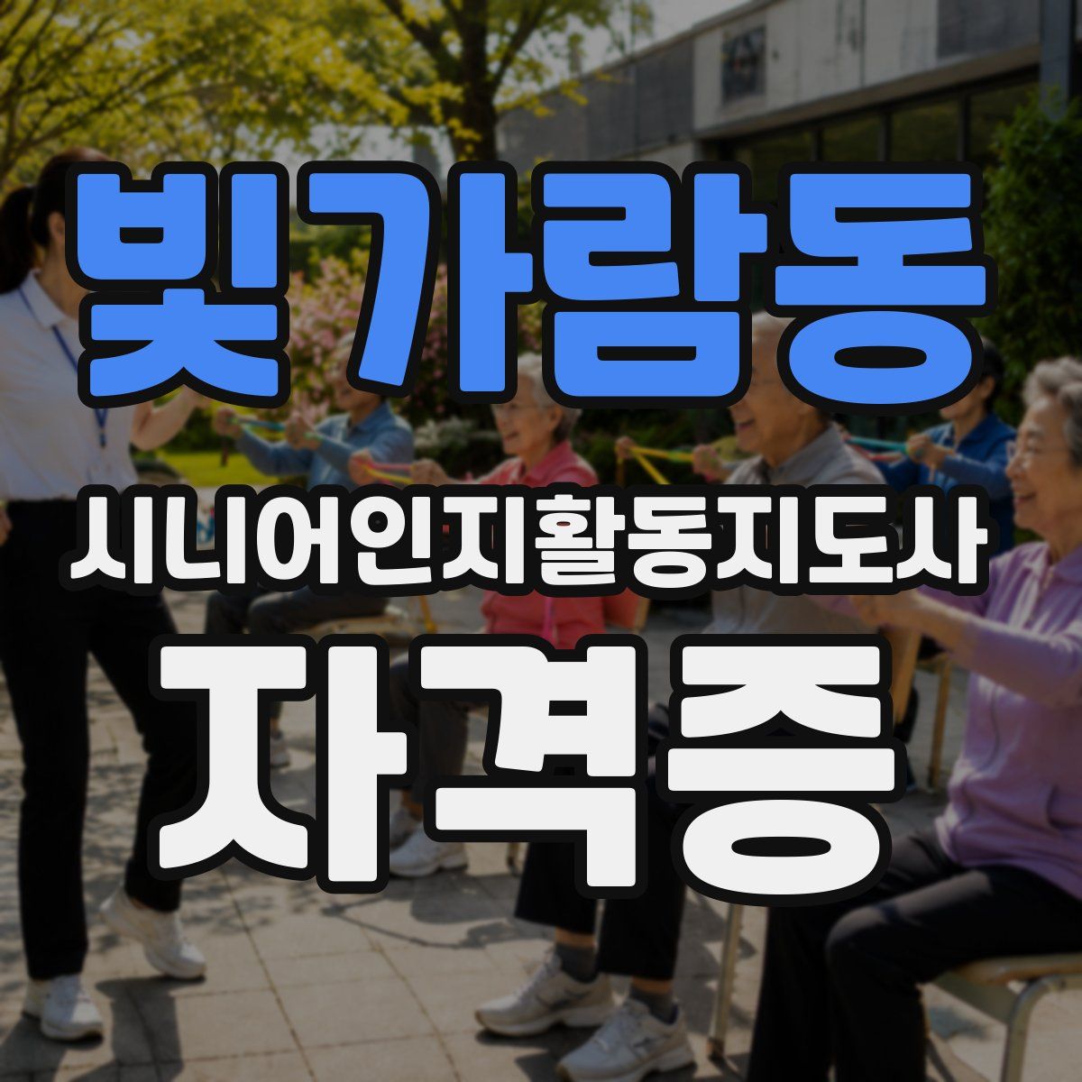 빛가람동 시니어인지활동지도사 자격증