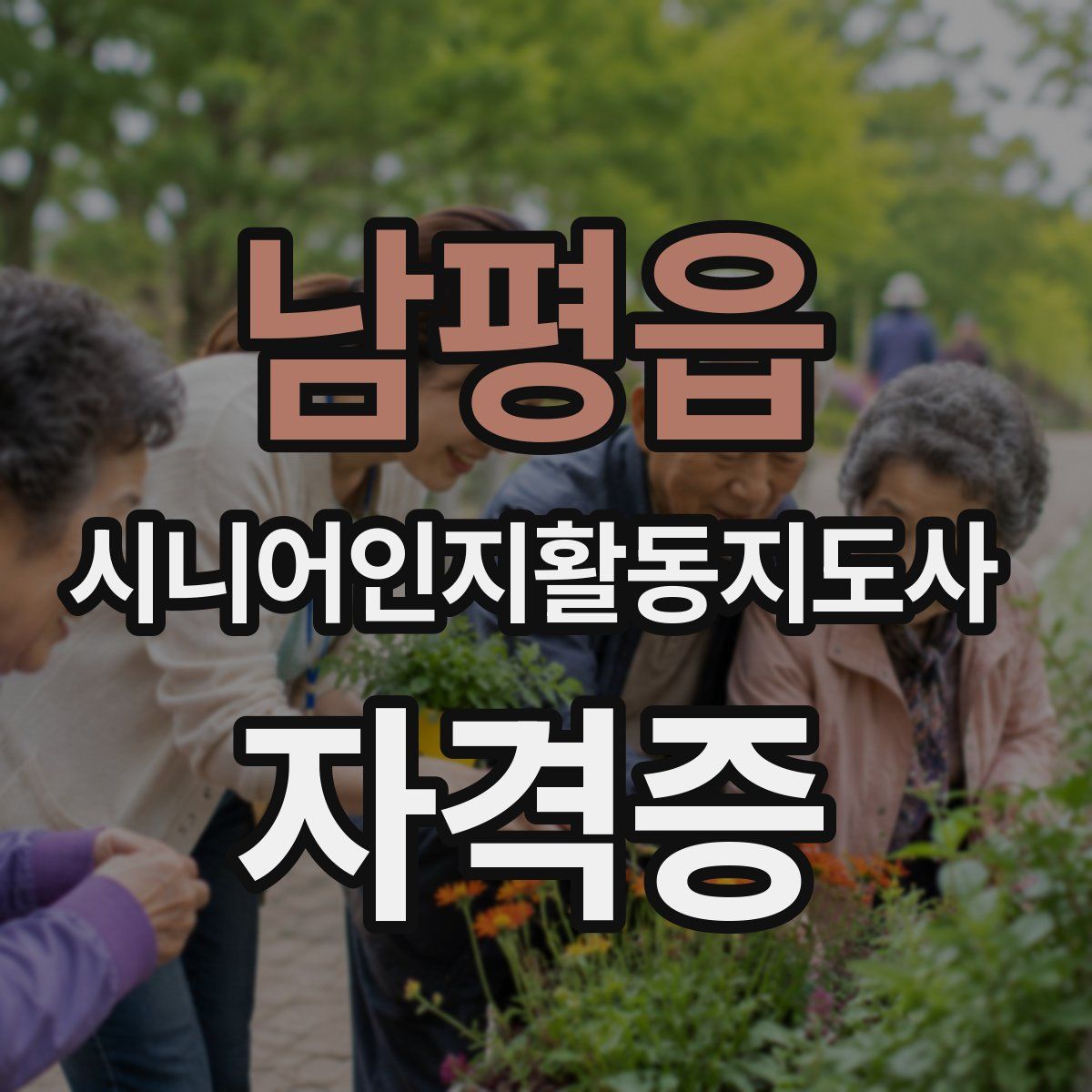 남평읍 시니어인지활동지도사 자격증