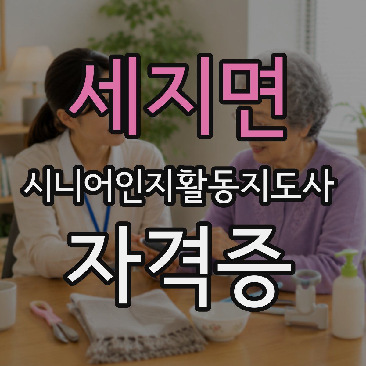 세지면 시니어인지활동지도사 자격증