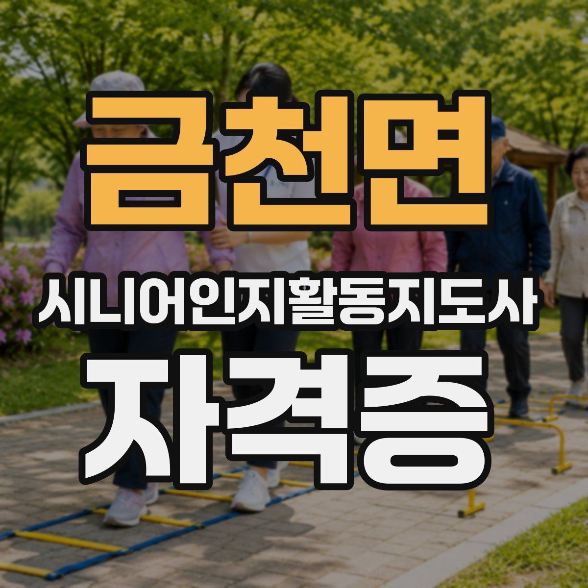 금천면 시니어인지활동지도사 자격증