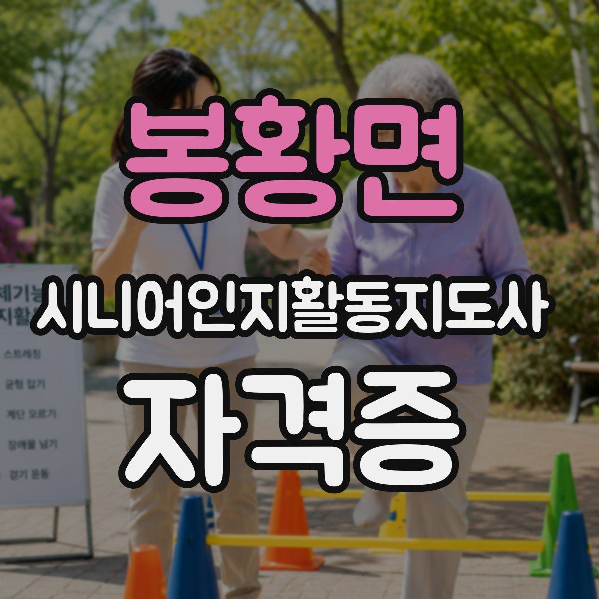 봉황면 시니어인지활동지도사 자격증