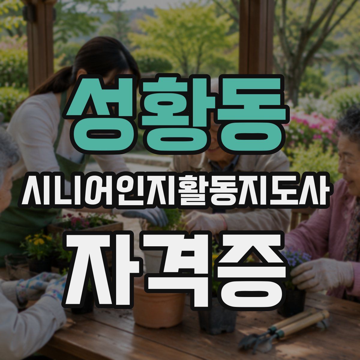 성황동 시니어인지활동지도사 자격증