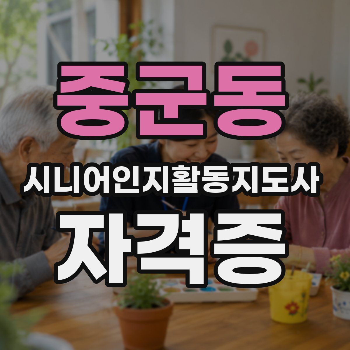 중군동 시니어인지활동지도사 자격증
