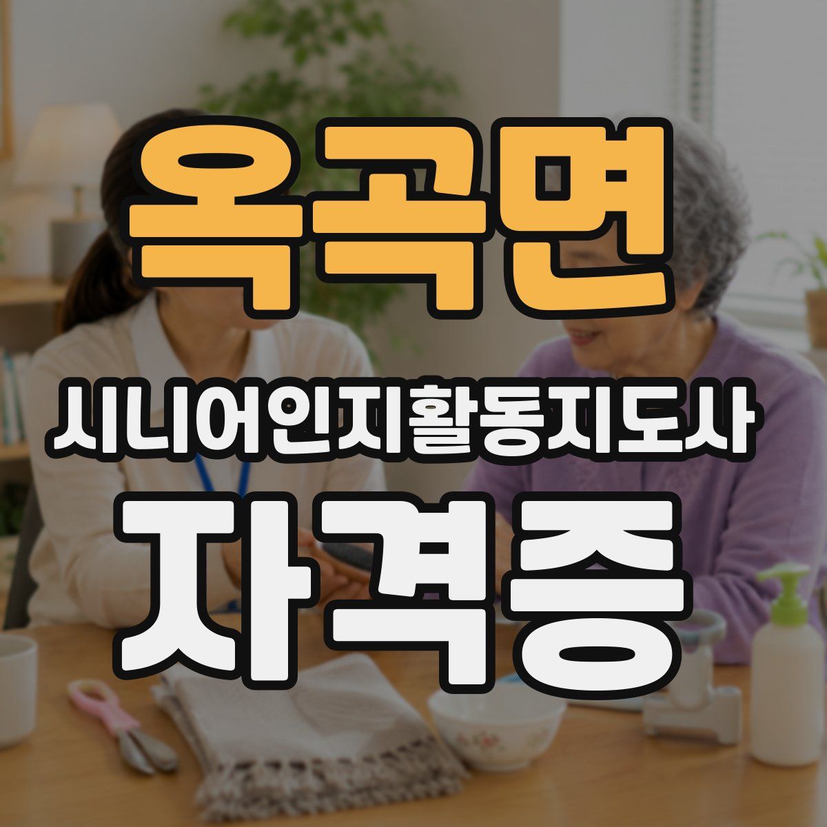 옥곡면 시니어인지활동지도사 자격증