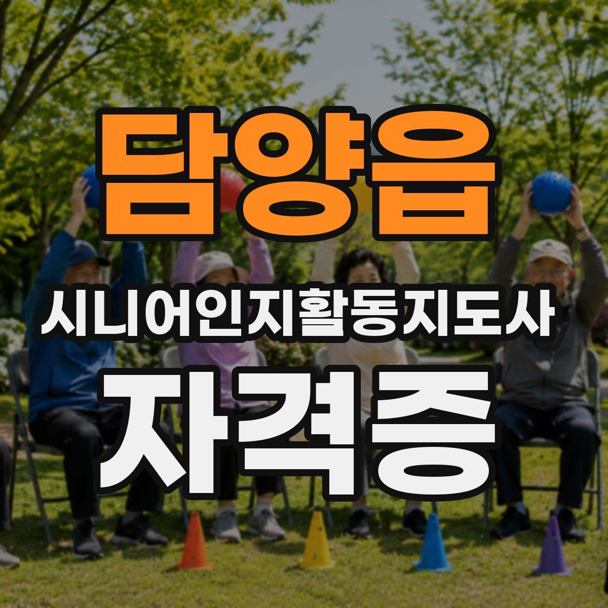 담양읍 시니어인지활동지도사 자격증