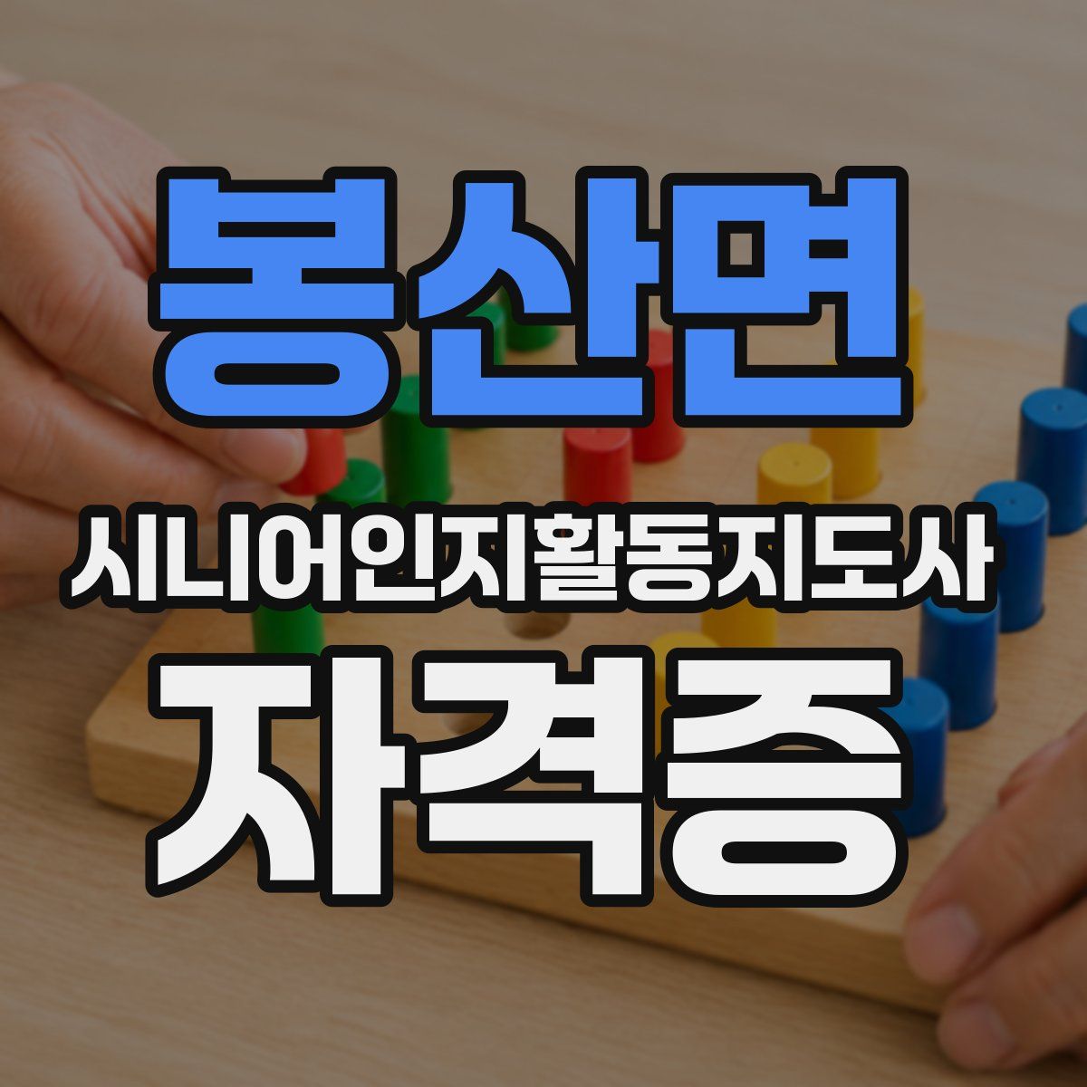 봉산면 시니어인지활동지도사 자격증