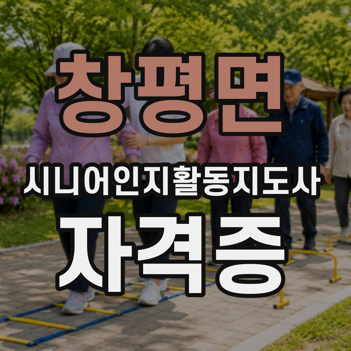 창평면 시니어인지활동지도사 자격증