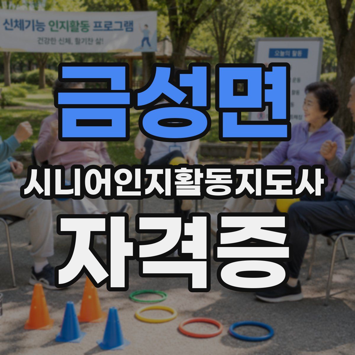 금성면 시니어인지활동지도사 자격증