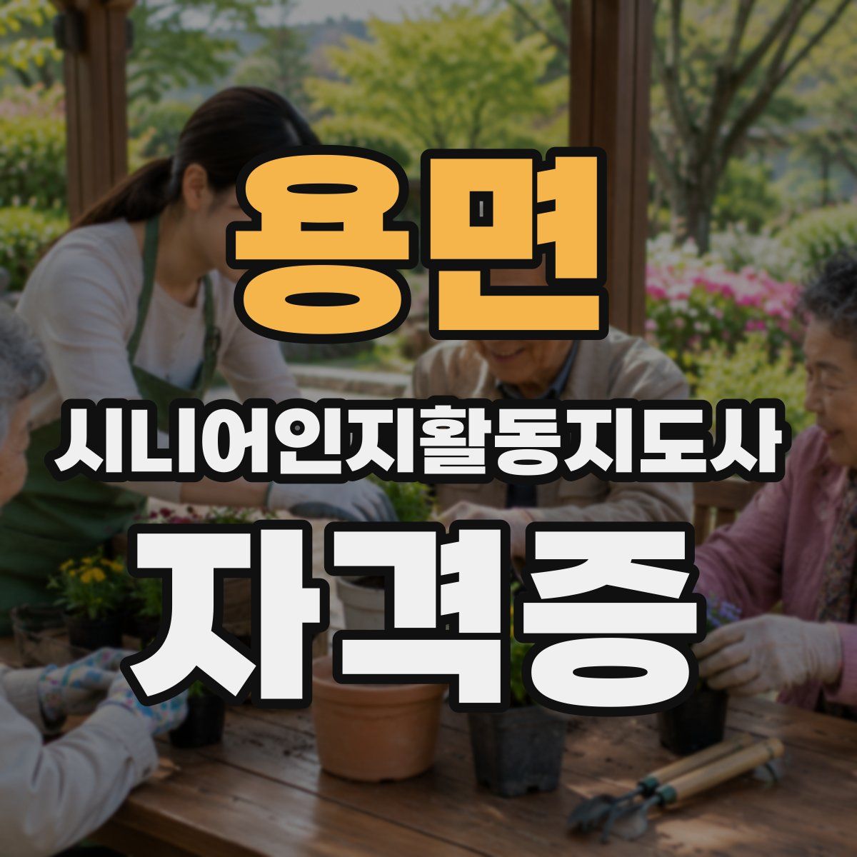 용면 시니어인지활동지도사 자격증
