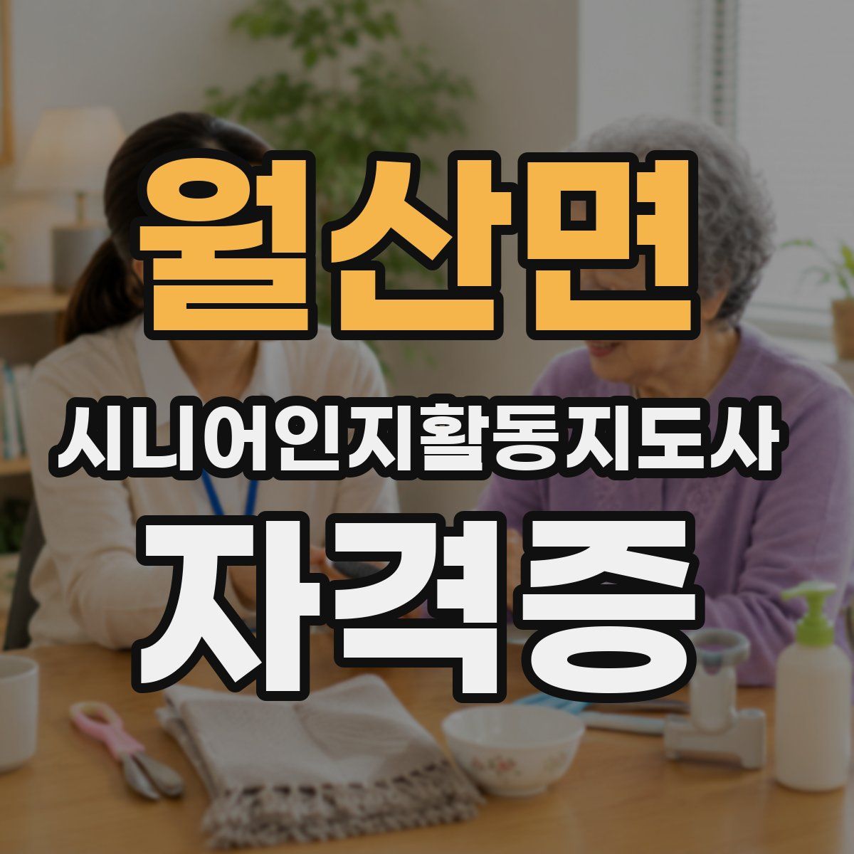 월산면 시니어인지활동지도사 자격증