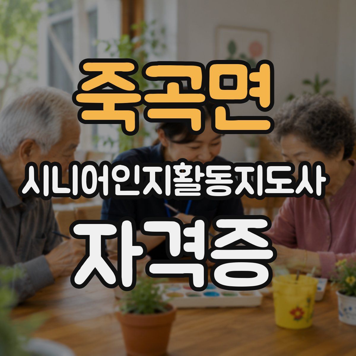 죽곡면 시니어인지활동지도사 자격증