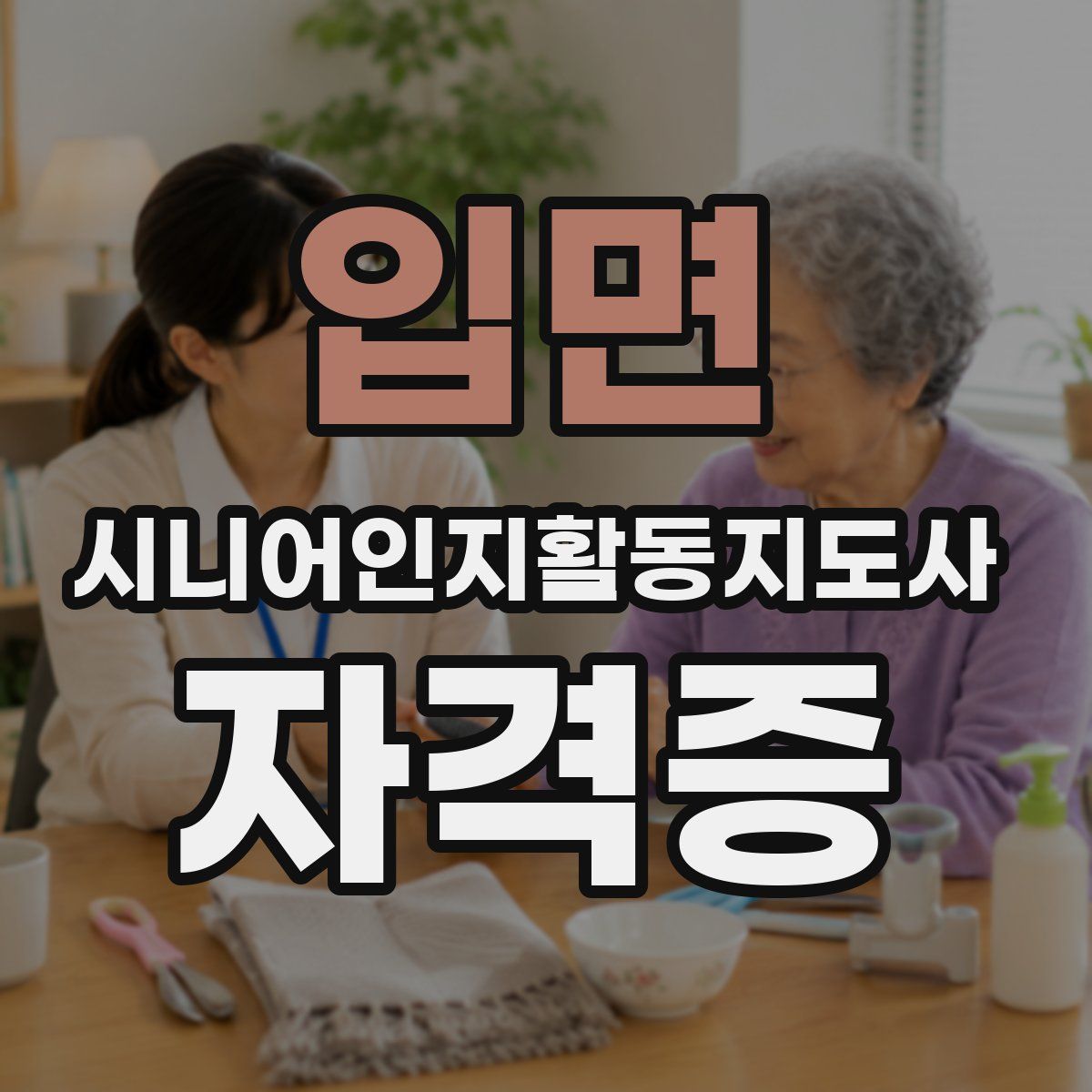 입면 시니어인지활동지도사 자격증