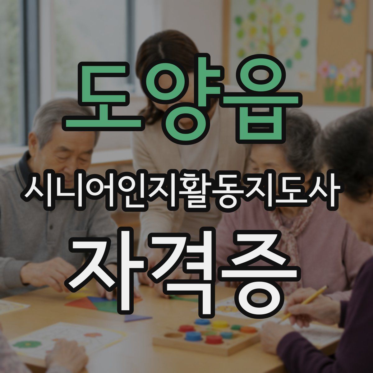 도양읍 시니어인지활동지도사 자격증