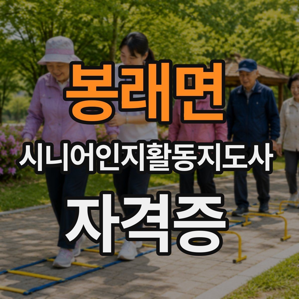 봉래면 시니어인지활동지도사 자격증 배우는 내용이 실무에 연결되는 방식