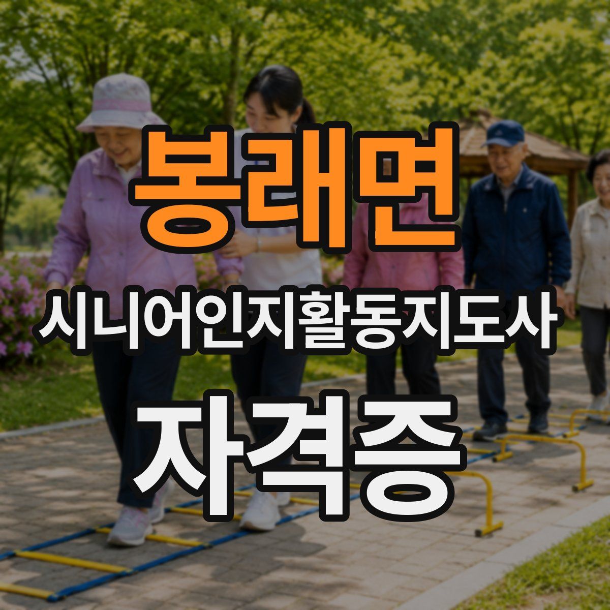 봉래면 시니어인지활동지도사 자격증