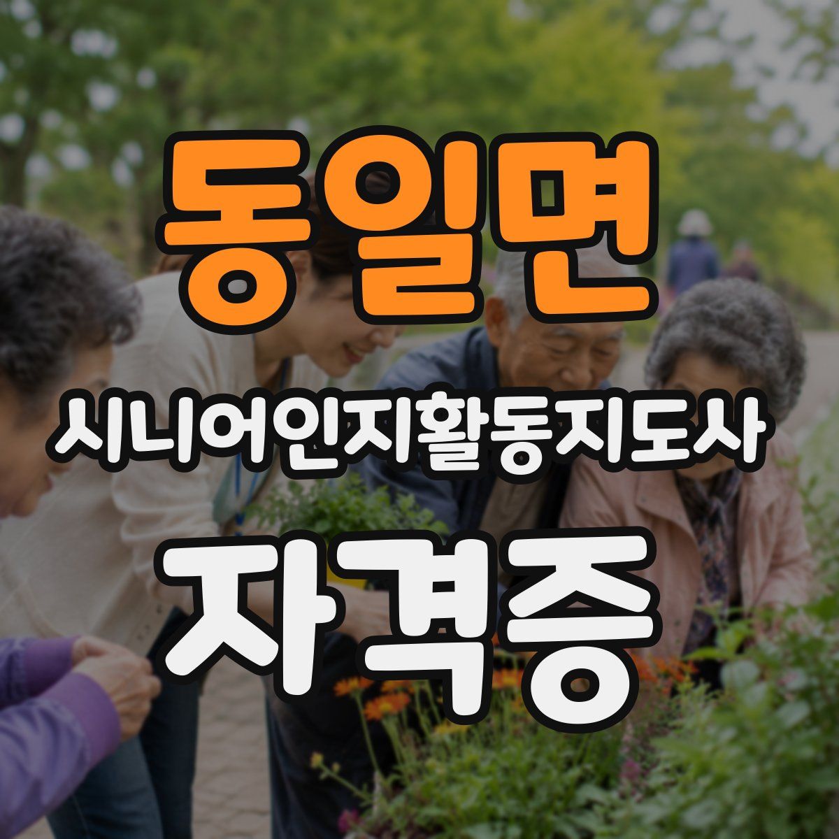 동일면 시니어인지활동지도사 자격증