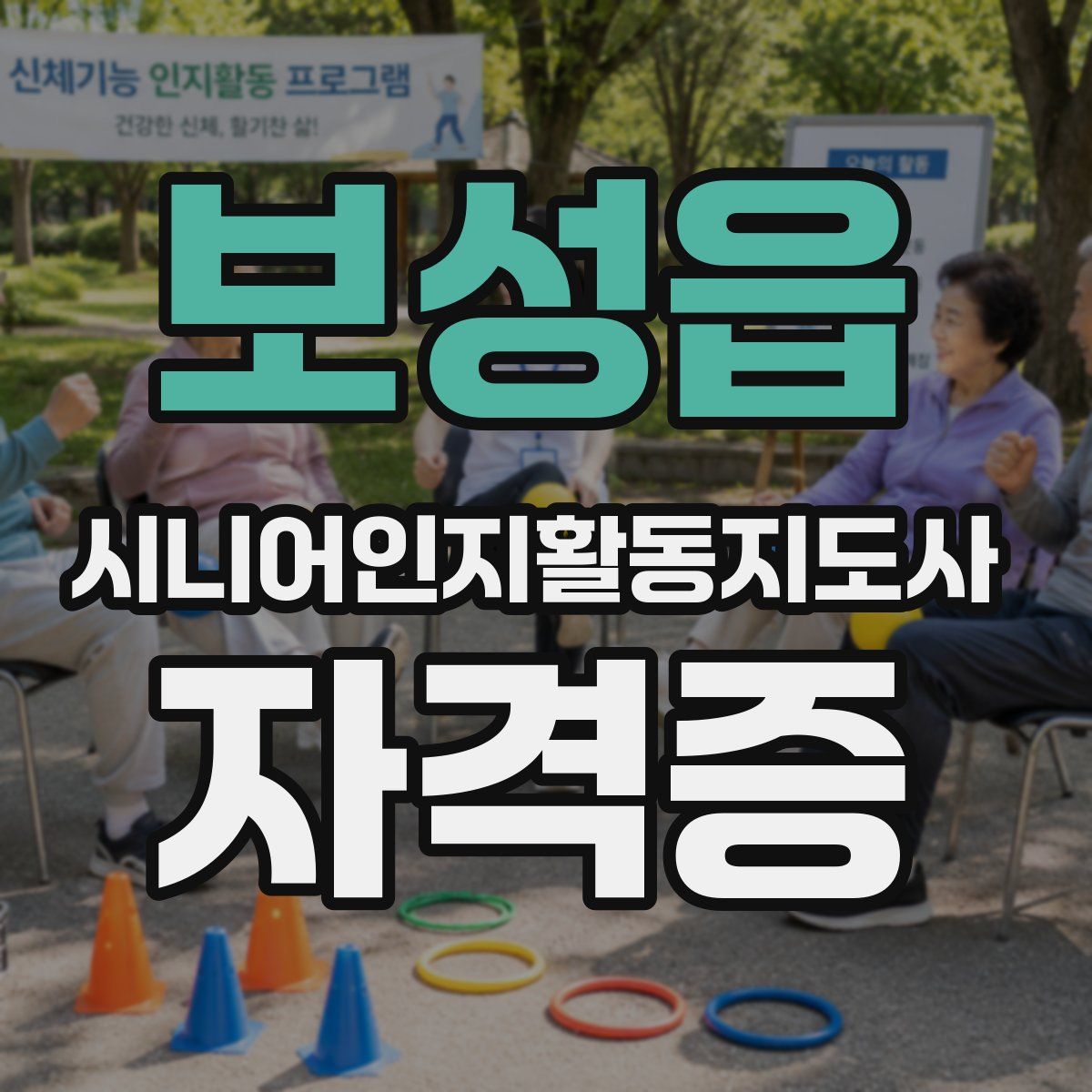 보성읍 시니어인지활동지도사 자격증