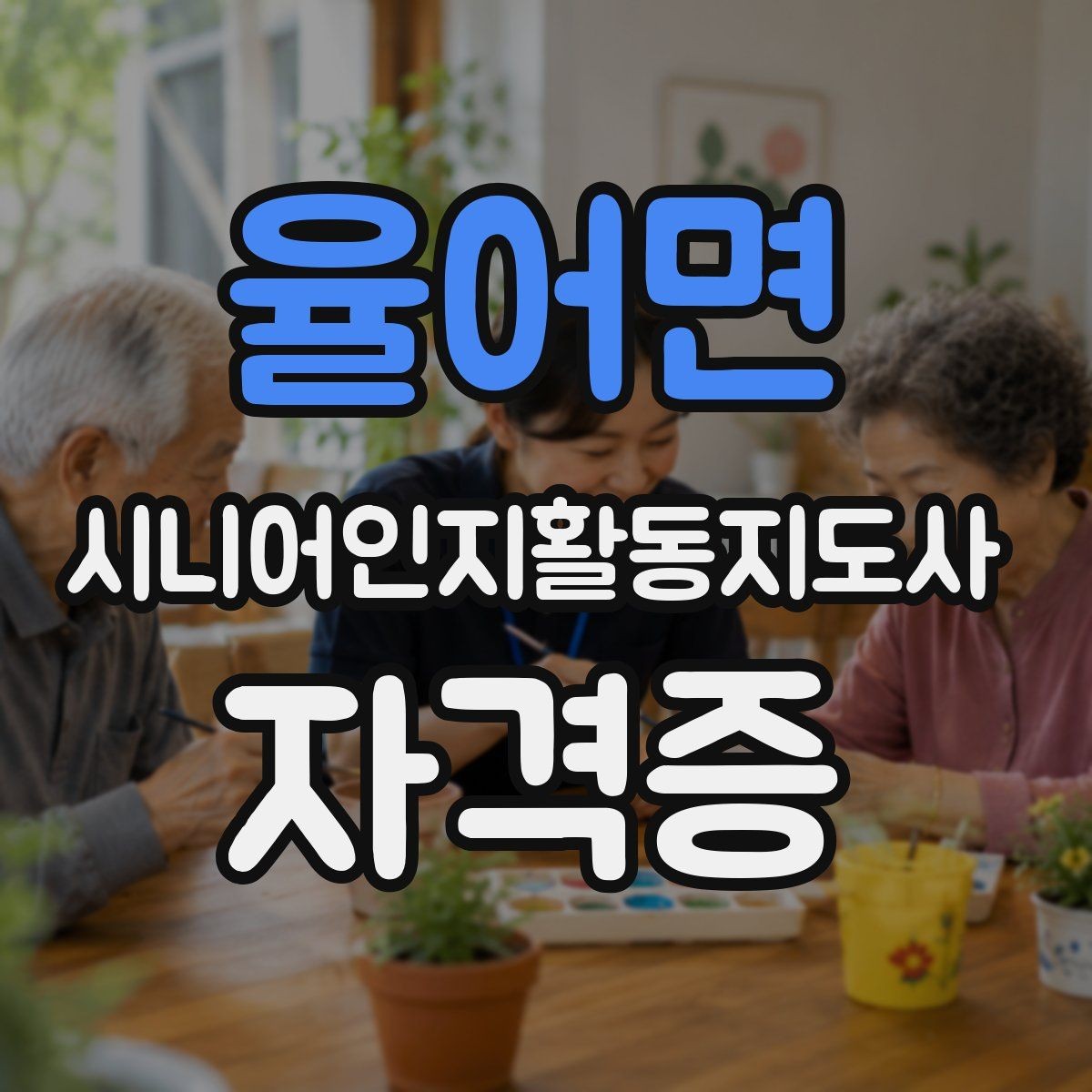 율어면 시니어인지활동지도사 자격증 공부가 처음인 분을 위한 안내