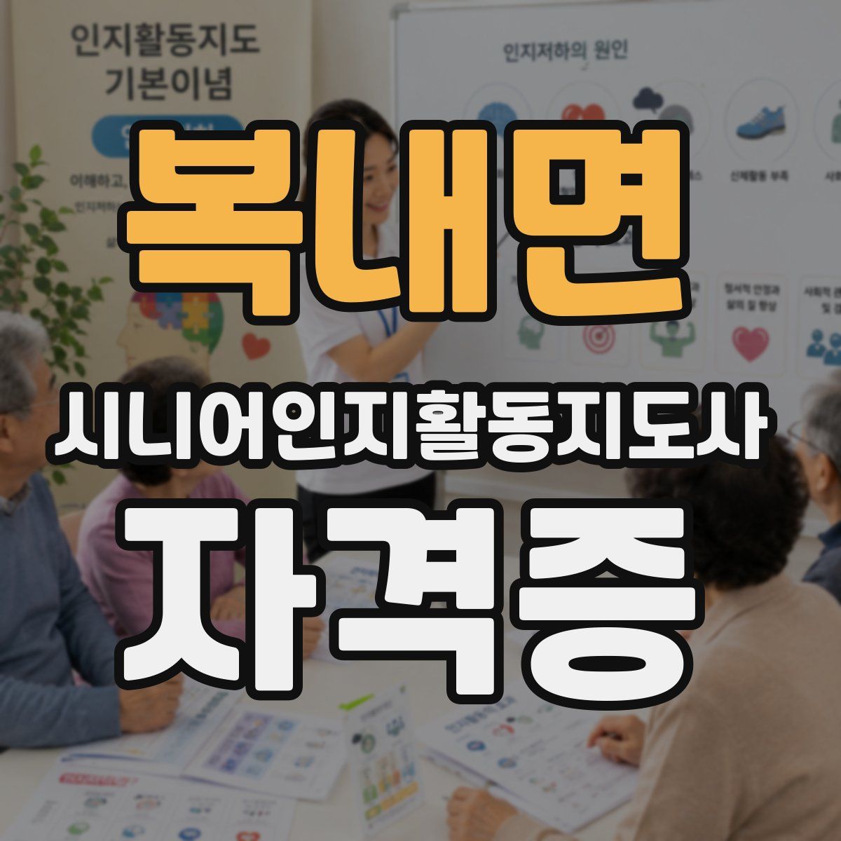복내면 시니어인지활동지도사 자격증