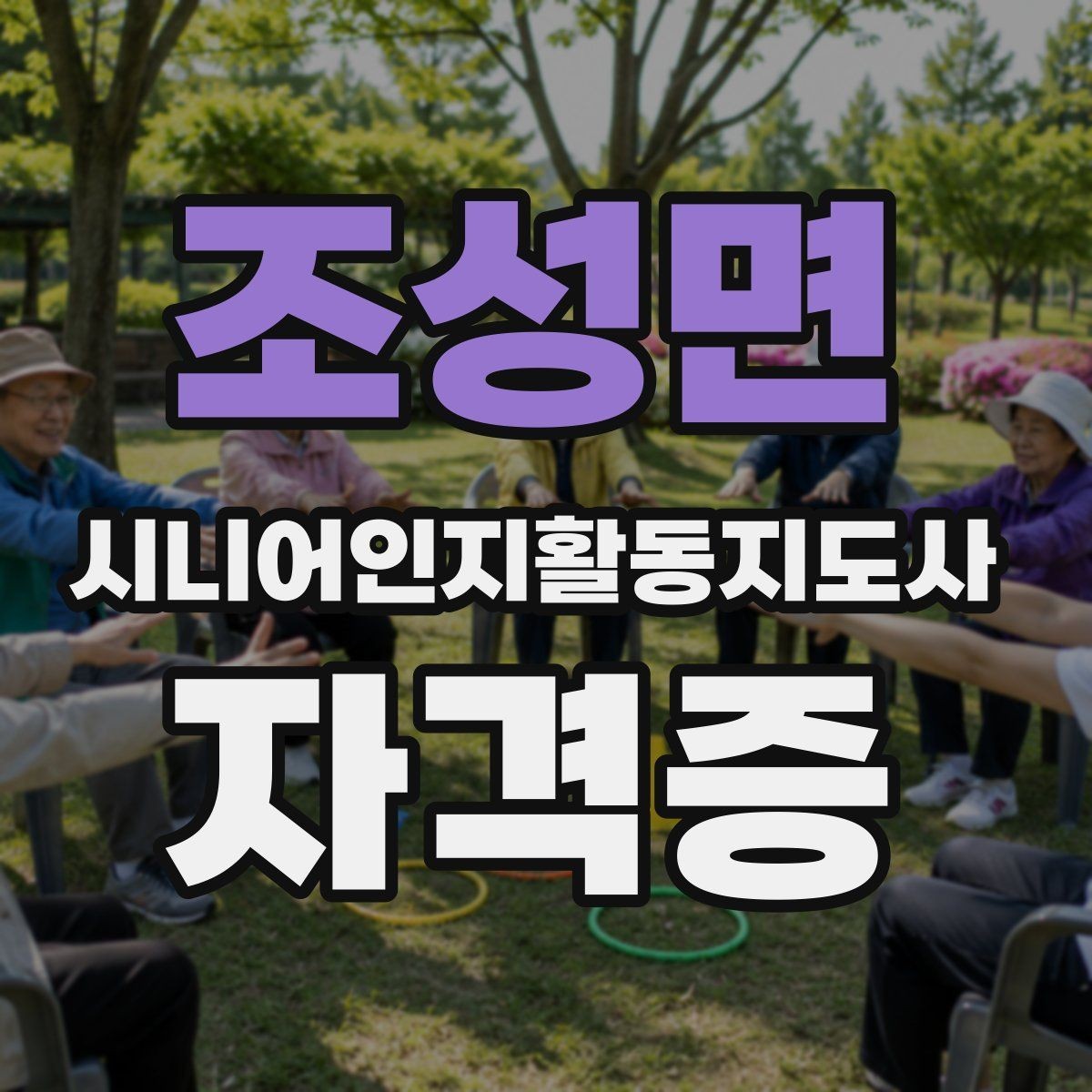 조성면 시니어인지활동지도사 자격증 취득 과정에서 확인할 세부 조건