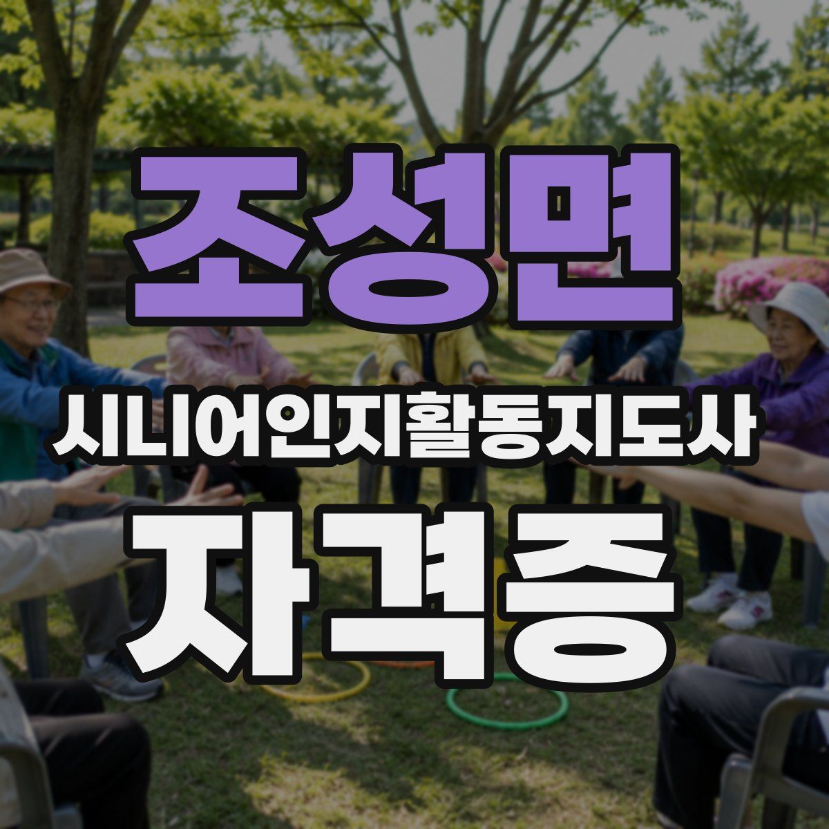 조성면 시니어인지활동지도사 자격증