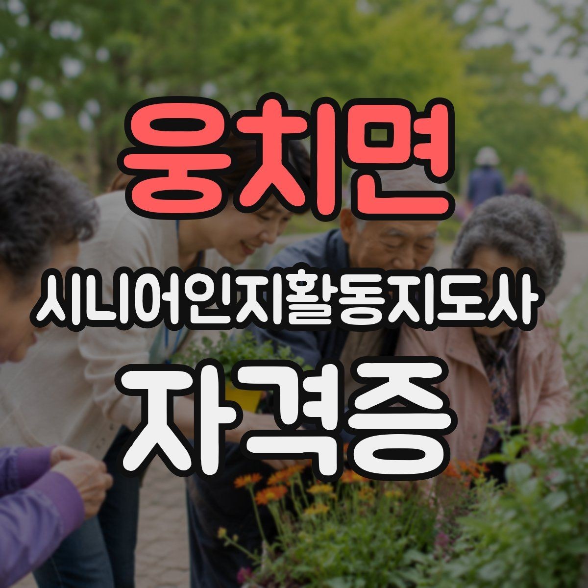 웅치면 시니어인지활동지도사 자격증 배우는 내용과 실무 연결성
