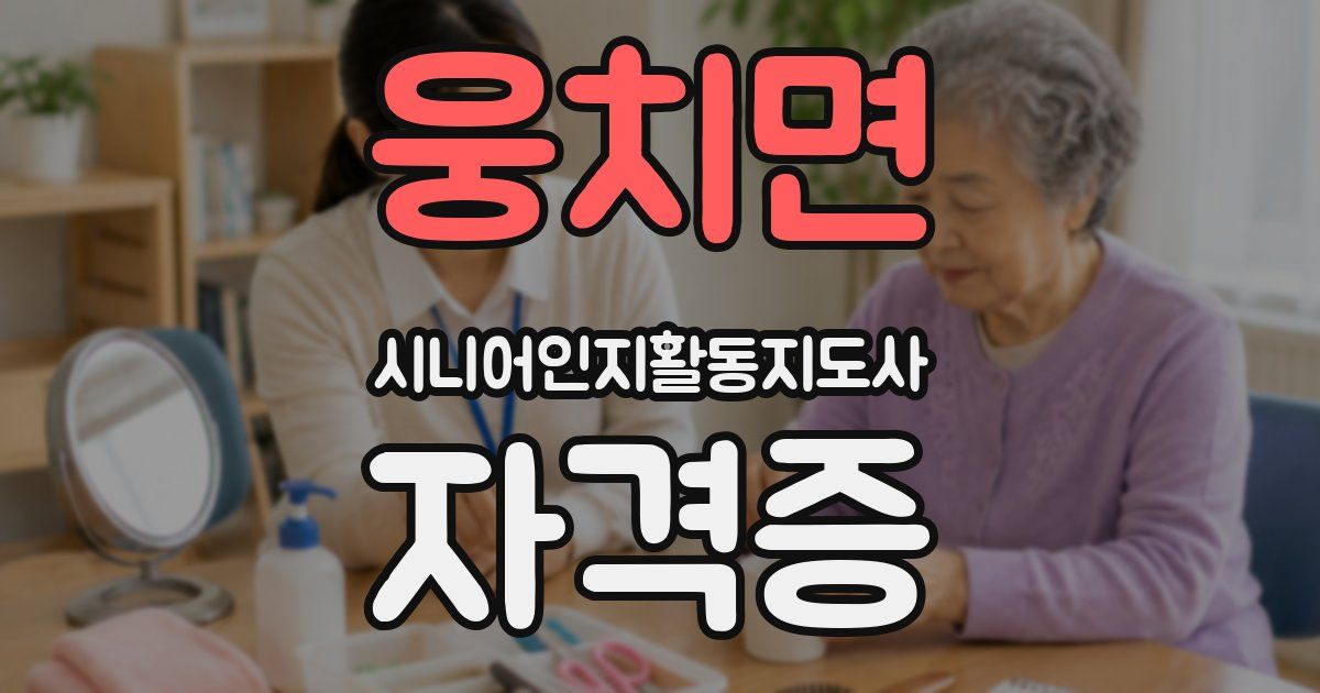 웅치면 시니어인지활동지도사 자격증