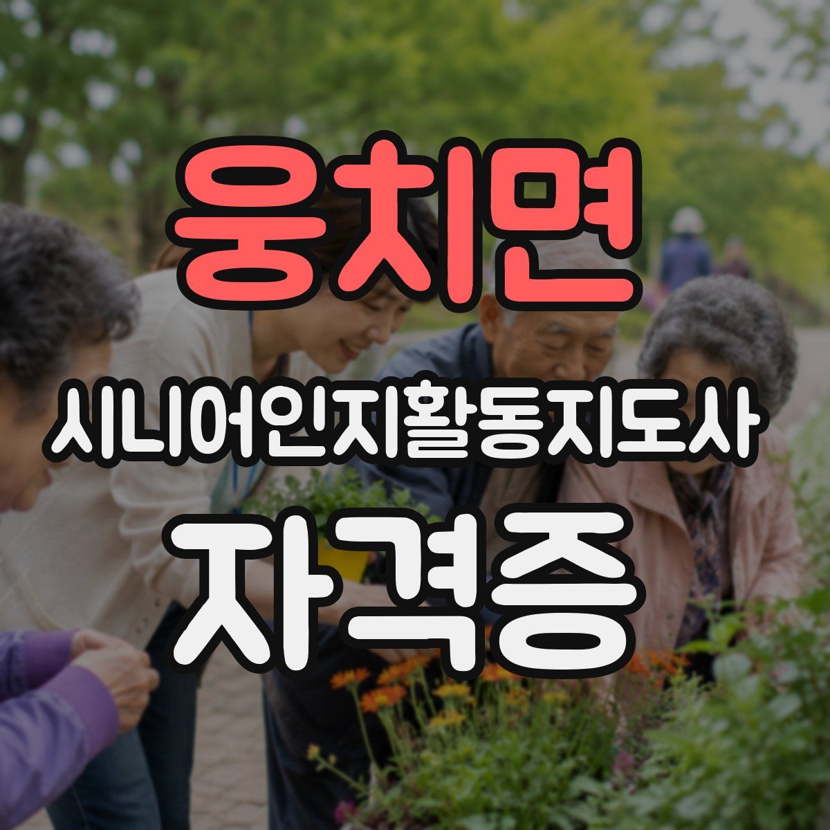 웅치면 시니어인지활동지도사 자격증