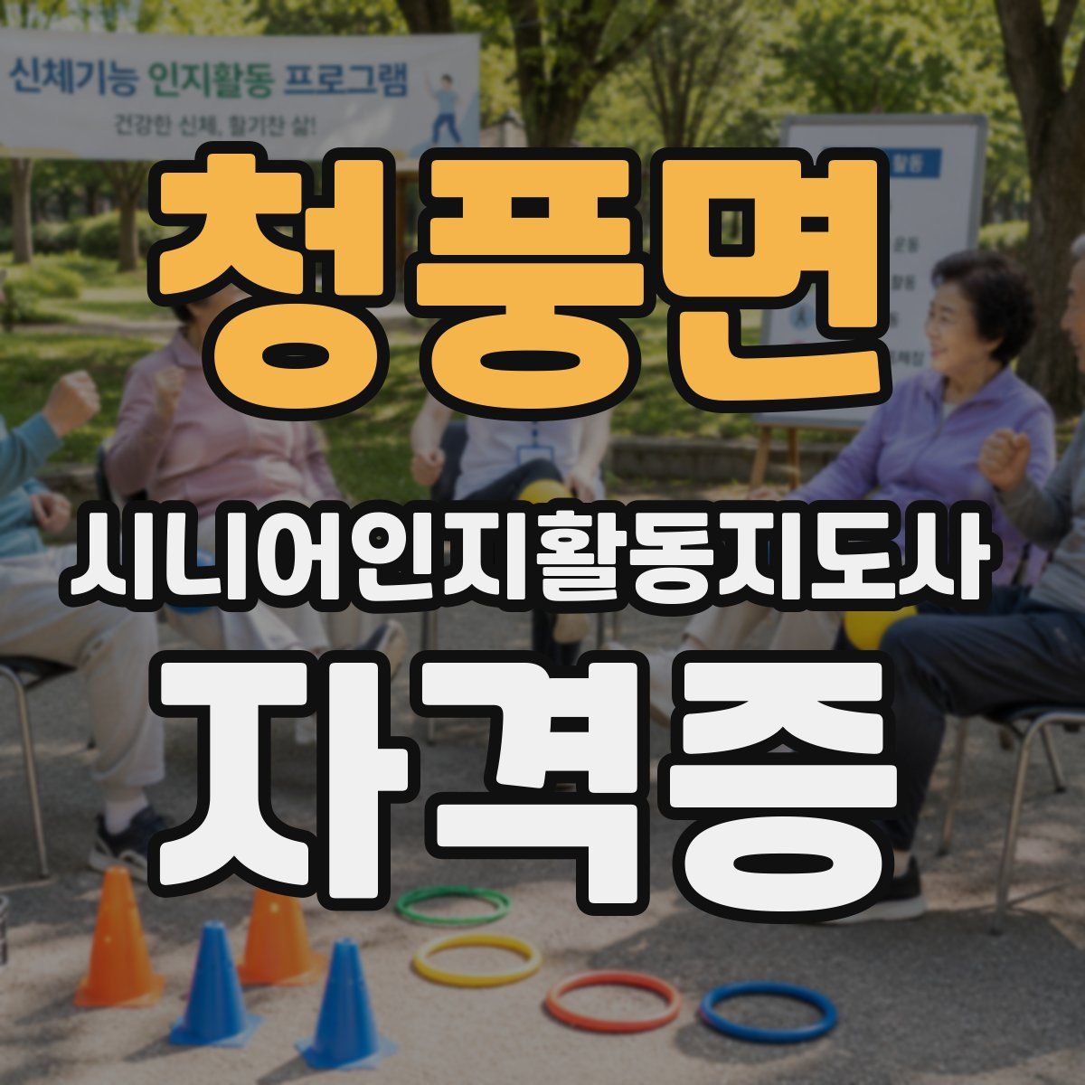 청풍면 시니어인지활동지도사 자격증
