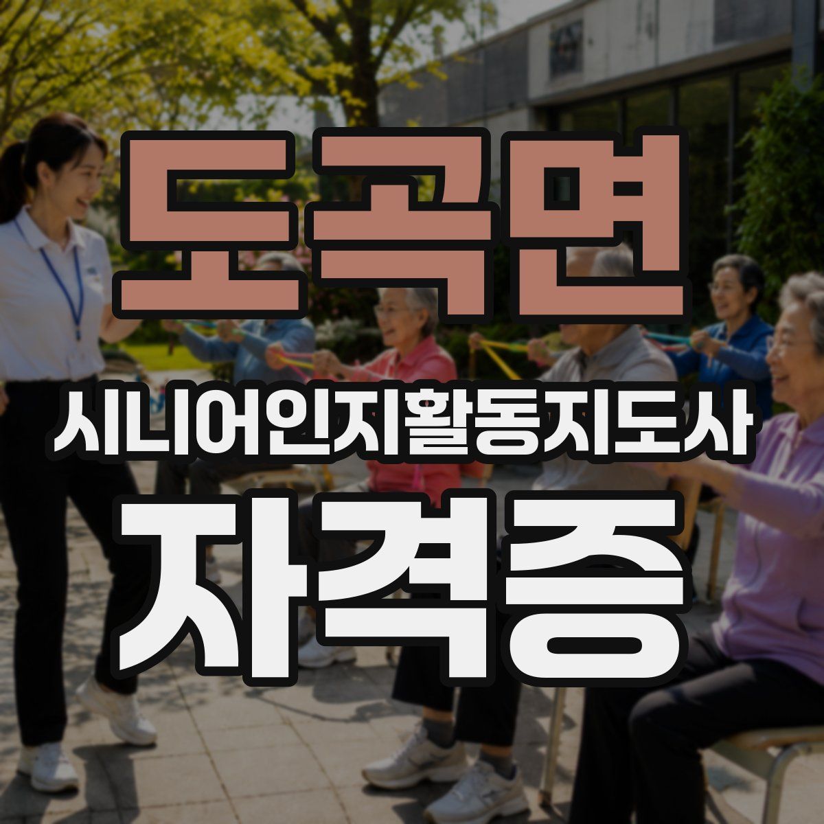 도곡면 시니어인지활동지도사 자격증