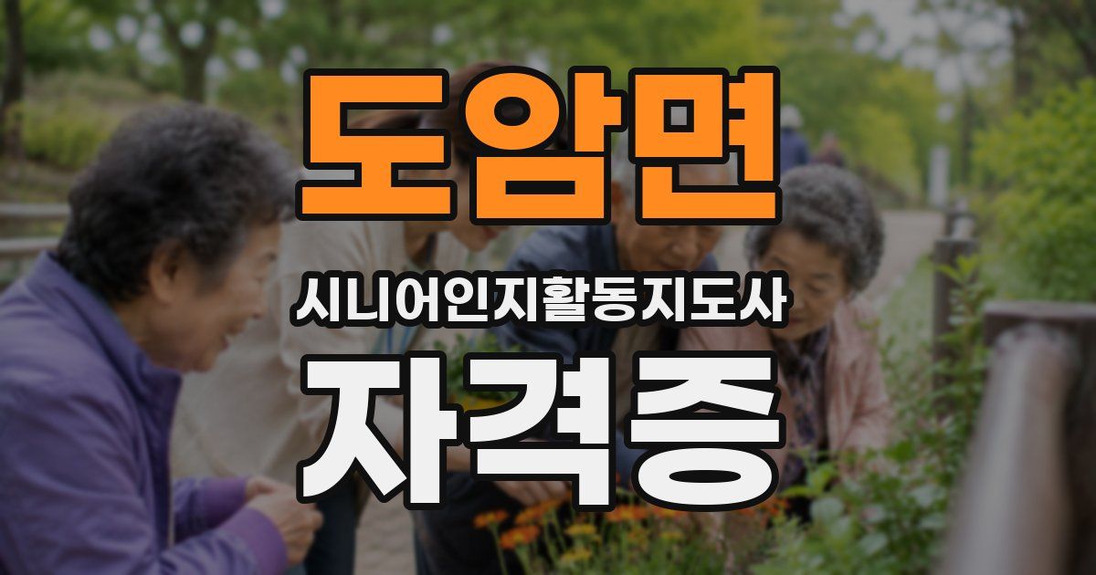 도암면 시니어인지활동지도사 자격증