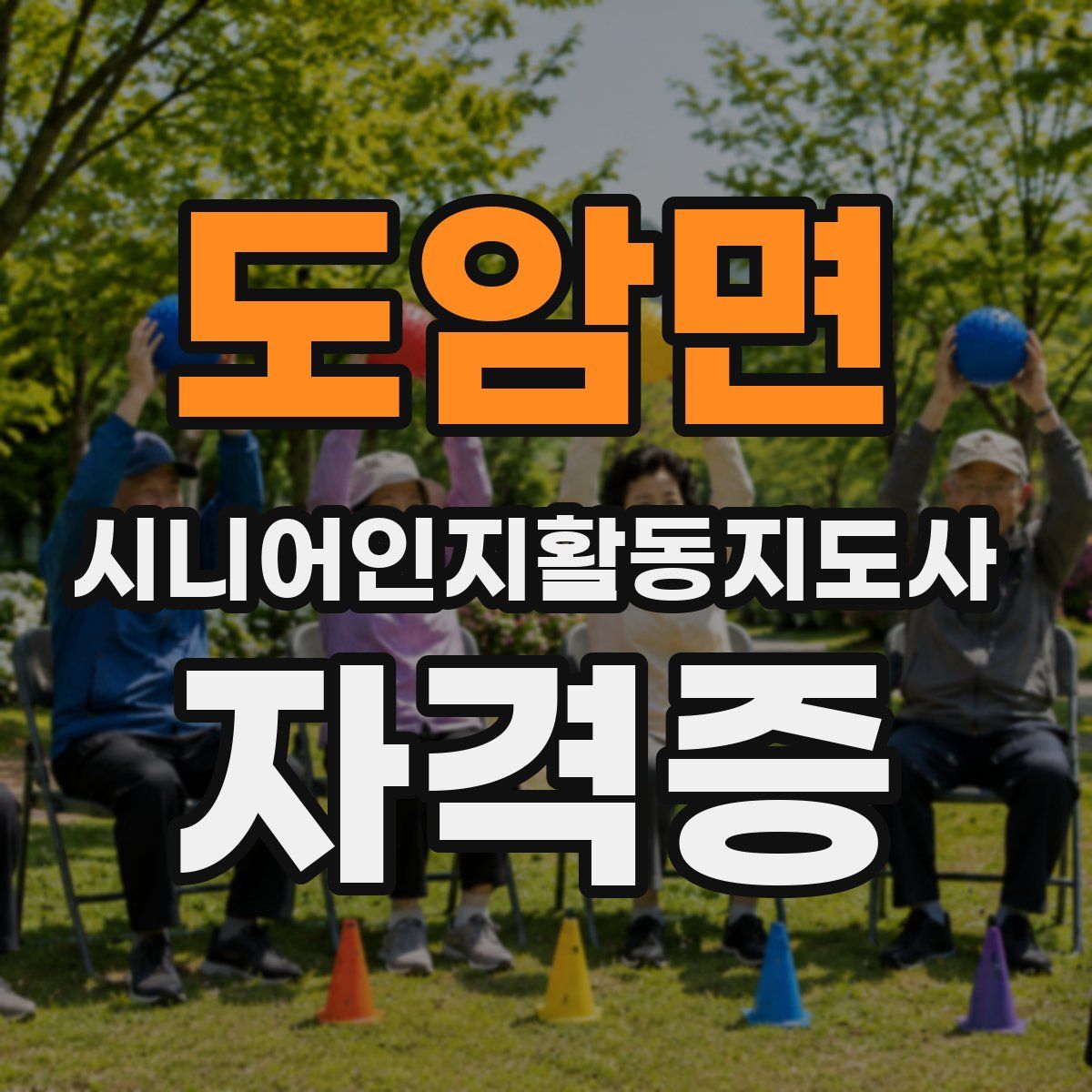 도암면 시니어인지활동지도사 자격증