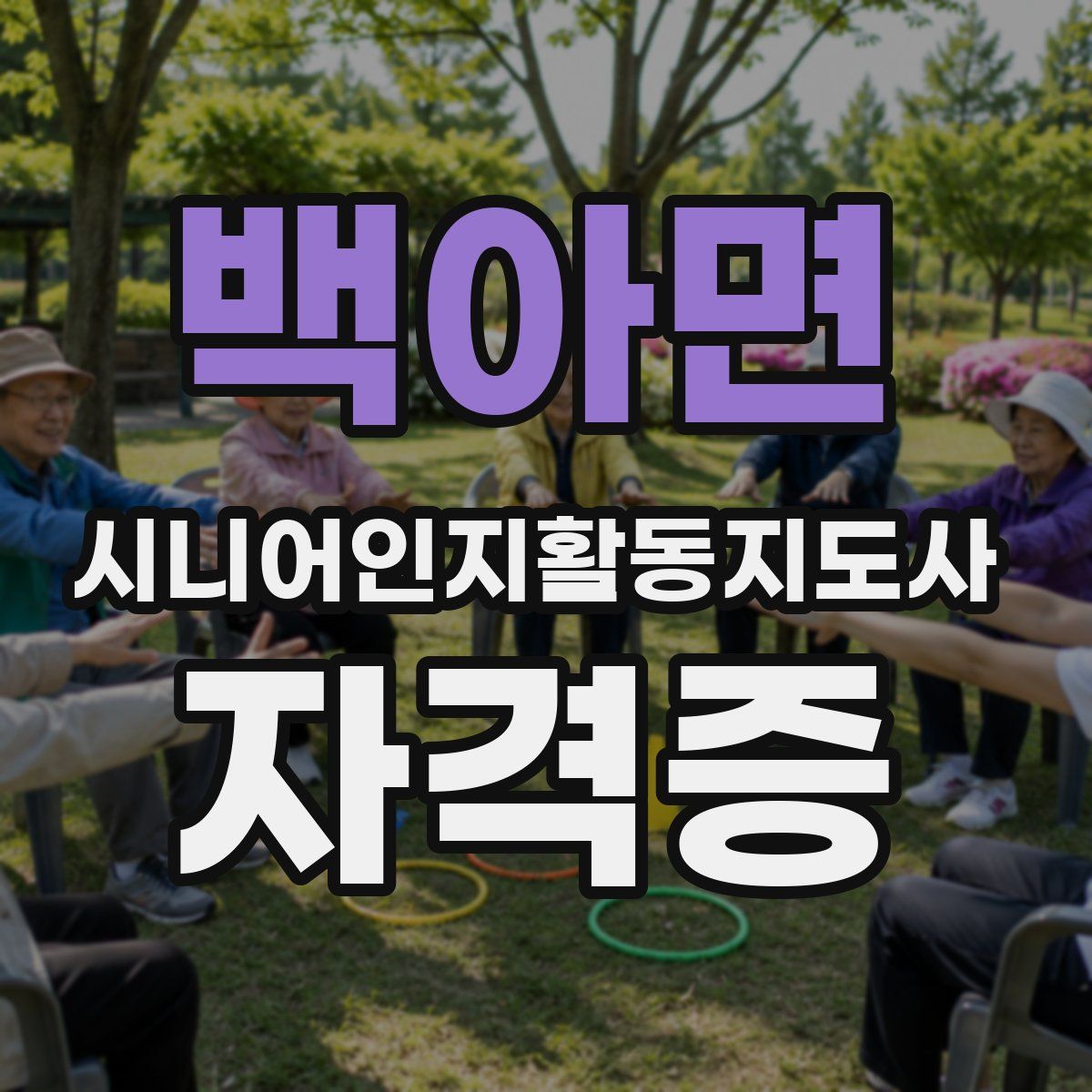 백아면 시니어인지활동지도사 자격증