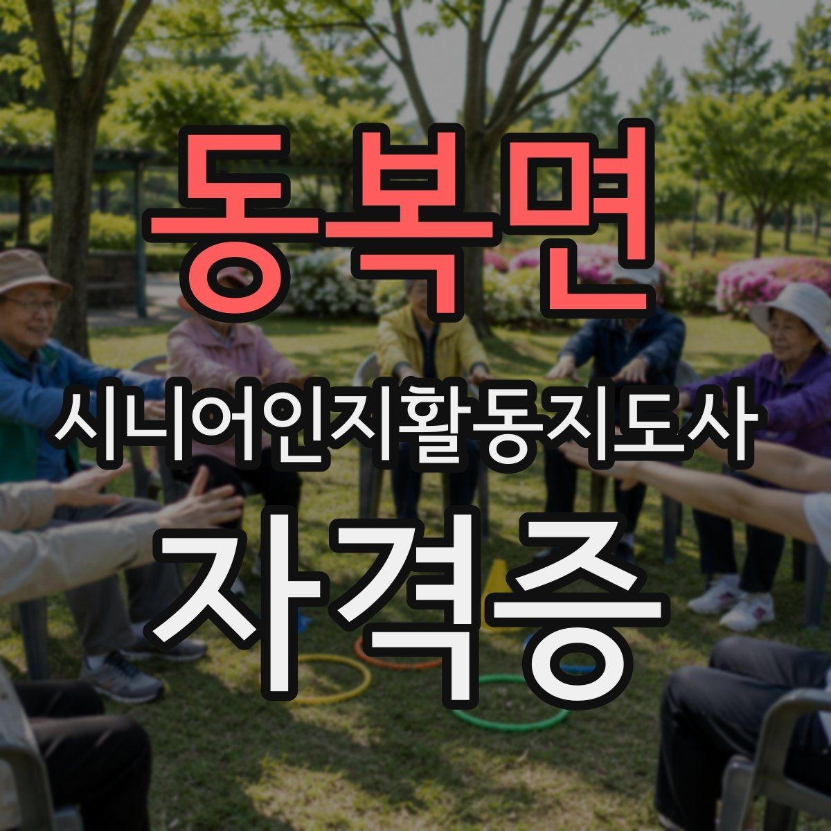 동복면 시니어인지활동지도사 자격증 취득 후 경력 관리 방법
