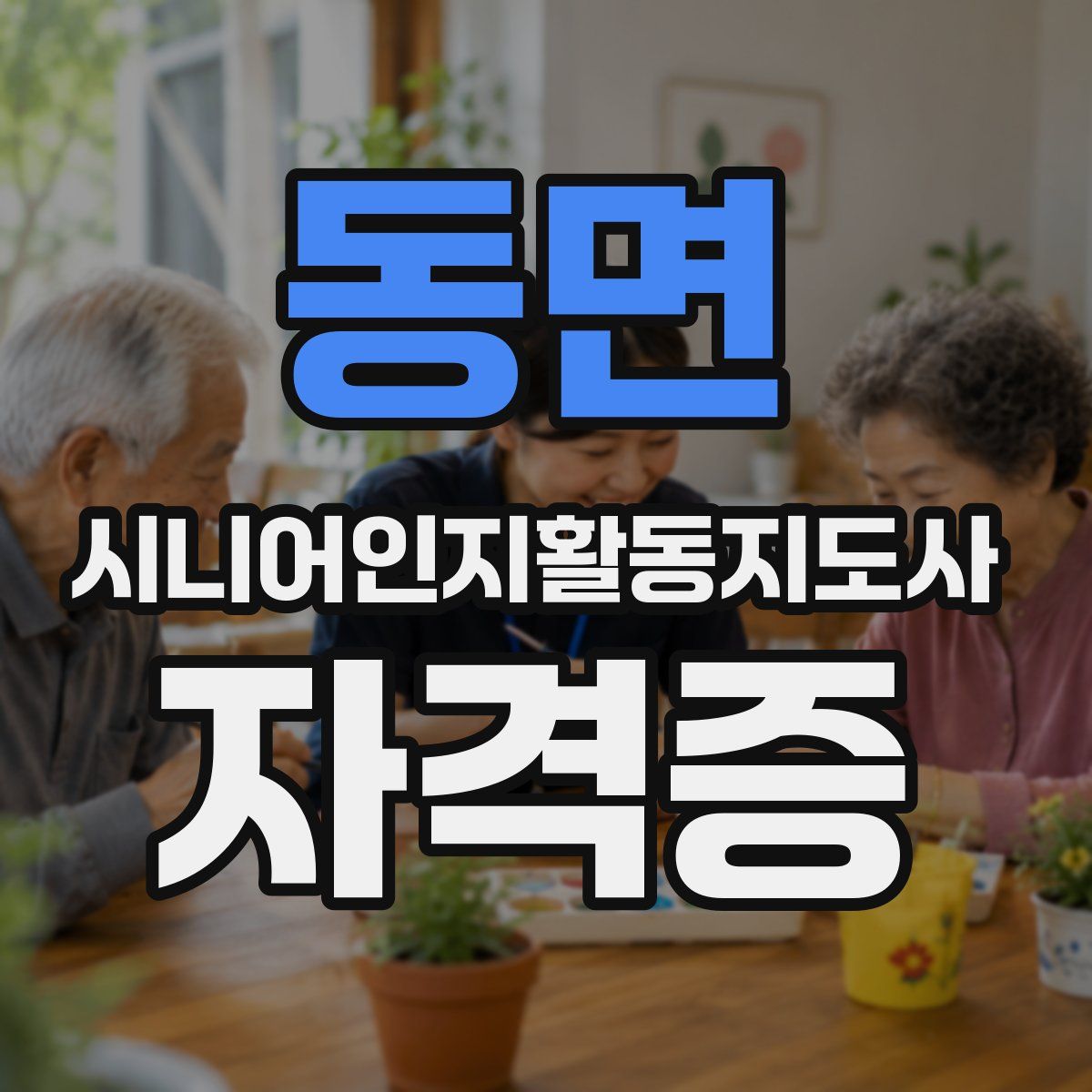 동면 시니어인지활동지도사 자격증