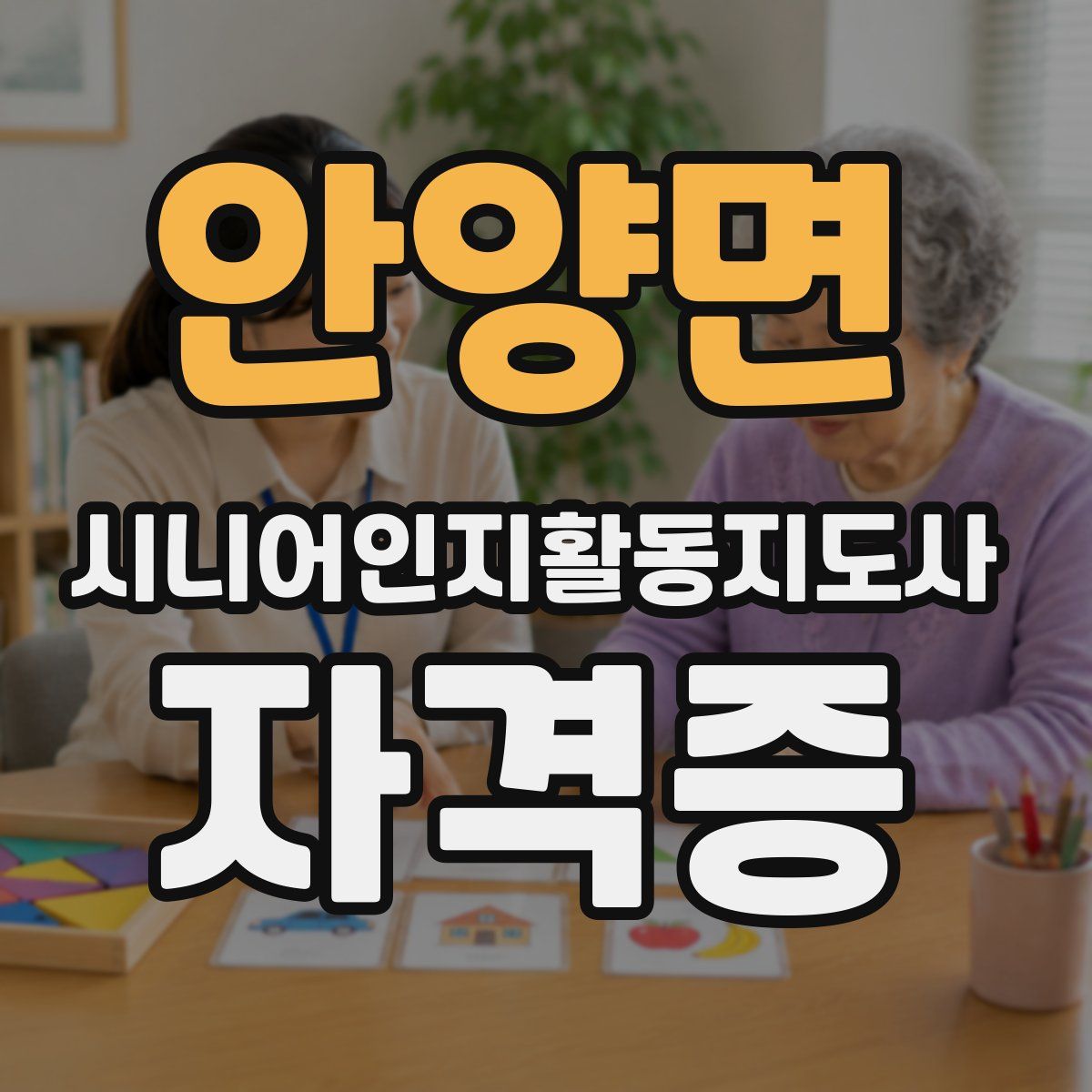 안양면 시니어인지활동지도사 자격증