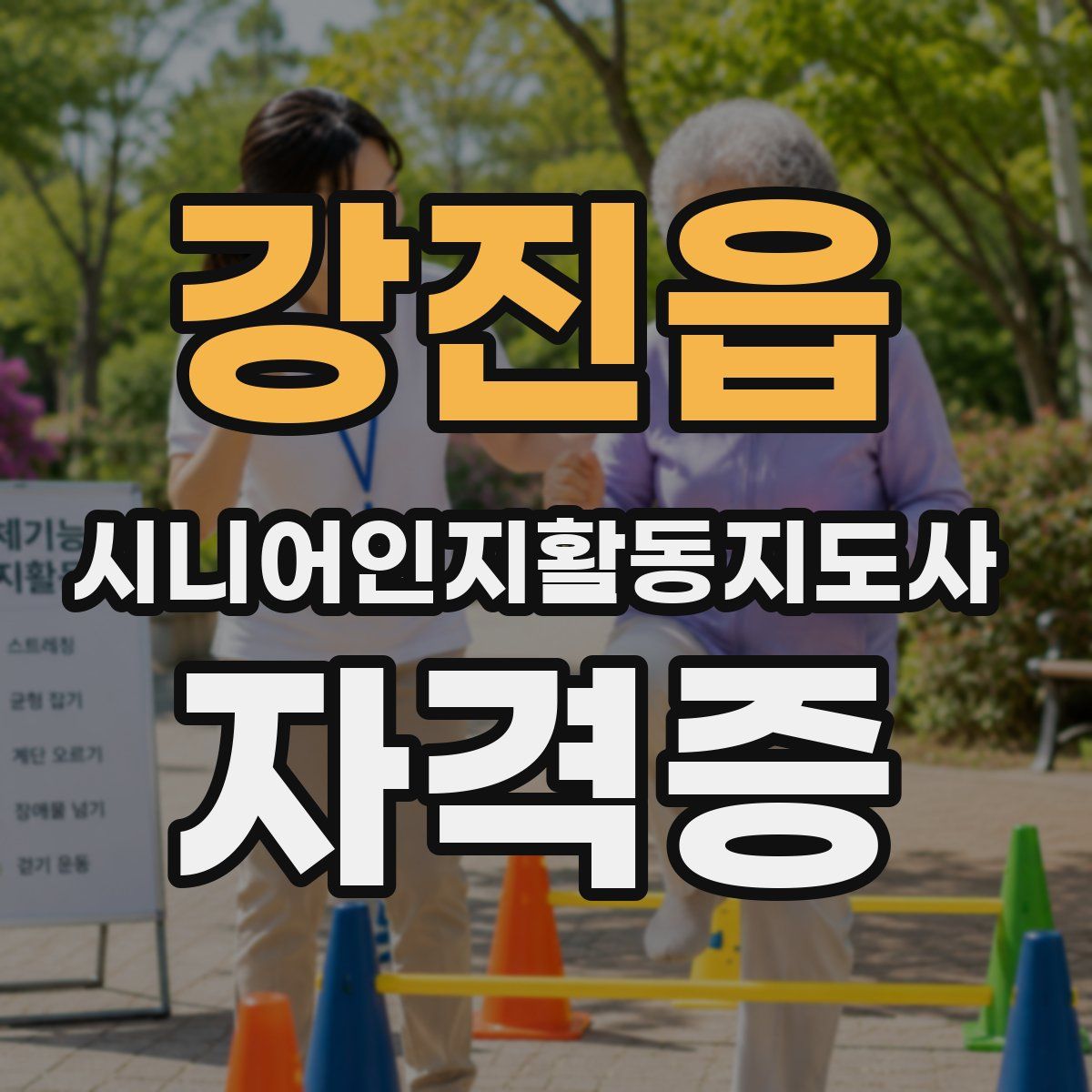 강진읍 시니어인지활동지도사 자격증