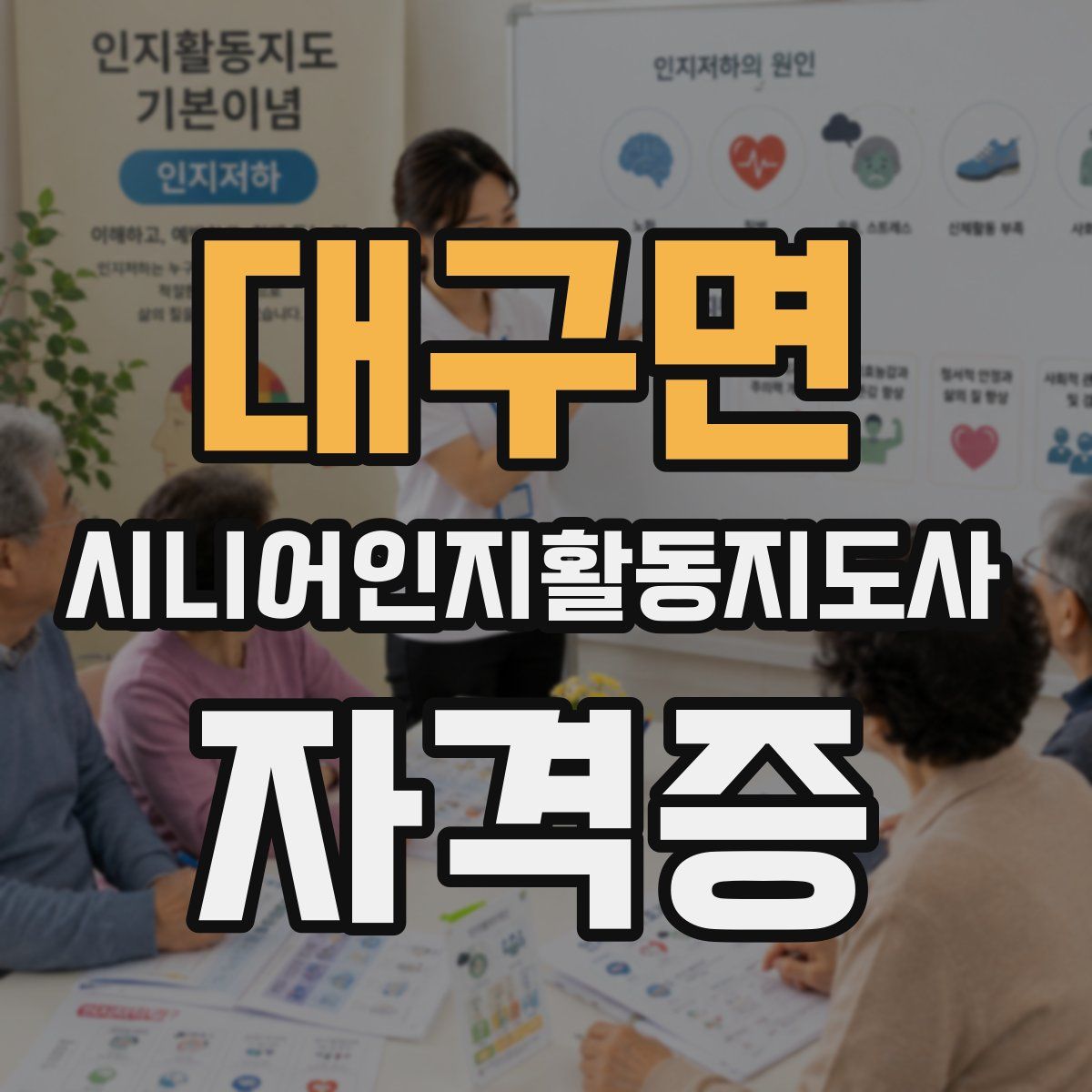 대구면 시니어인지활동지도사 자격증